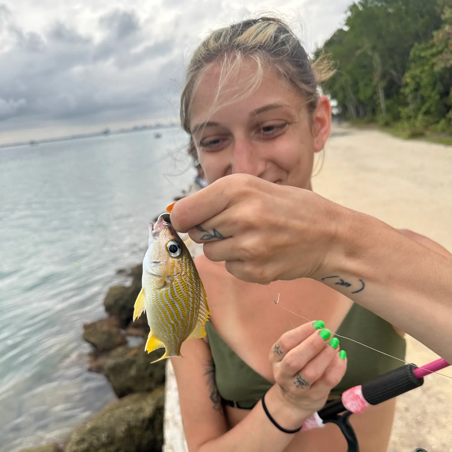 The most recent French grunt catches on Fishbrain