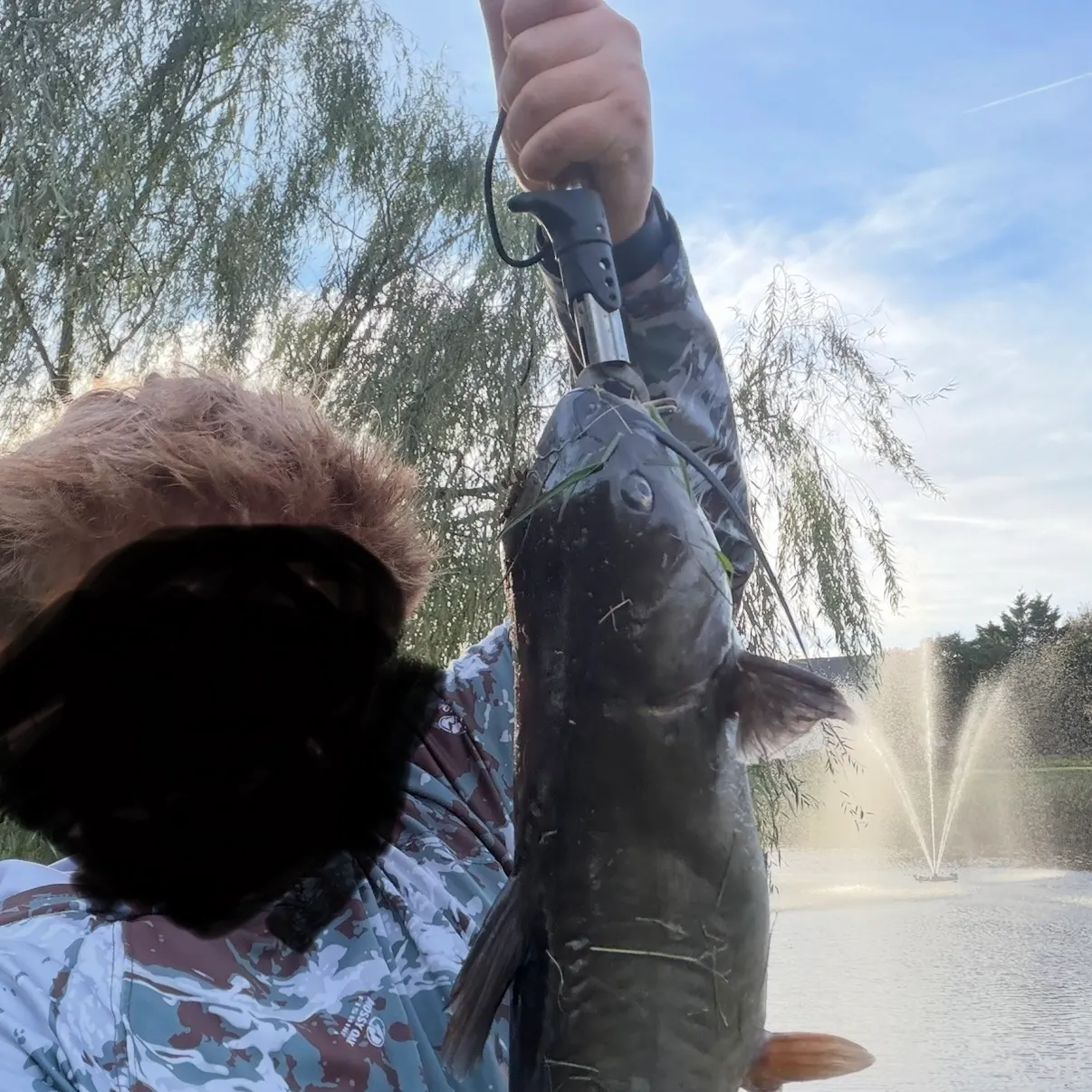 Channel catfish caught on Fishbrain