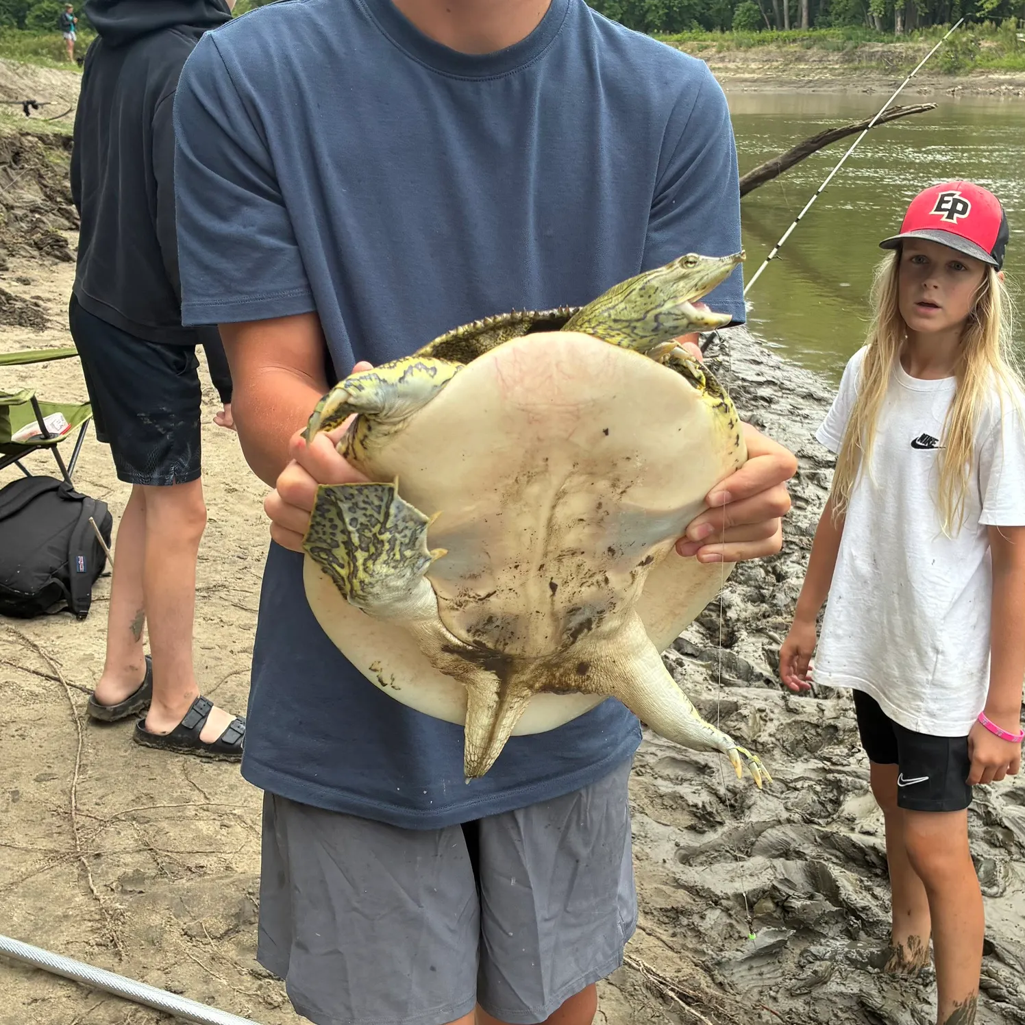 The most recent Smooth softshell turtle catches on Fishbrain