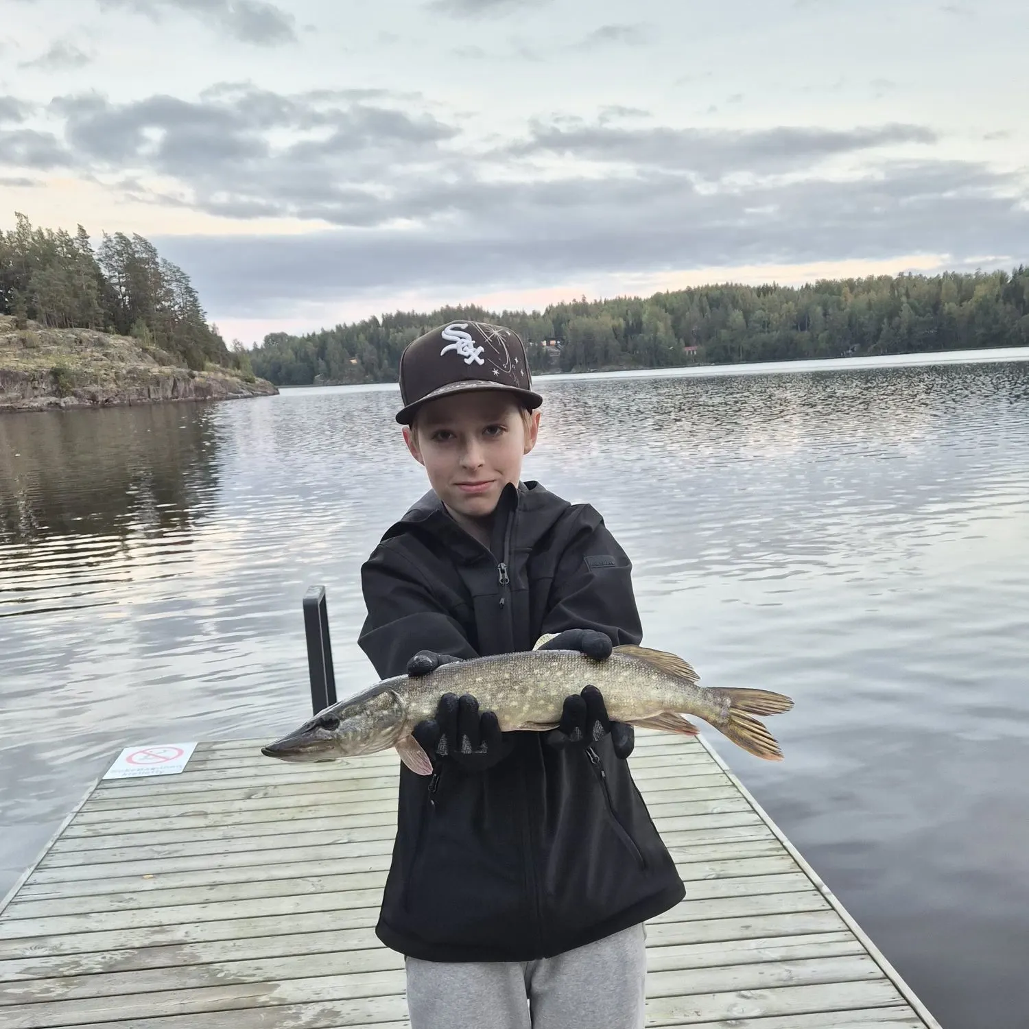 Northern pike caught on Fishbrain
