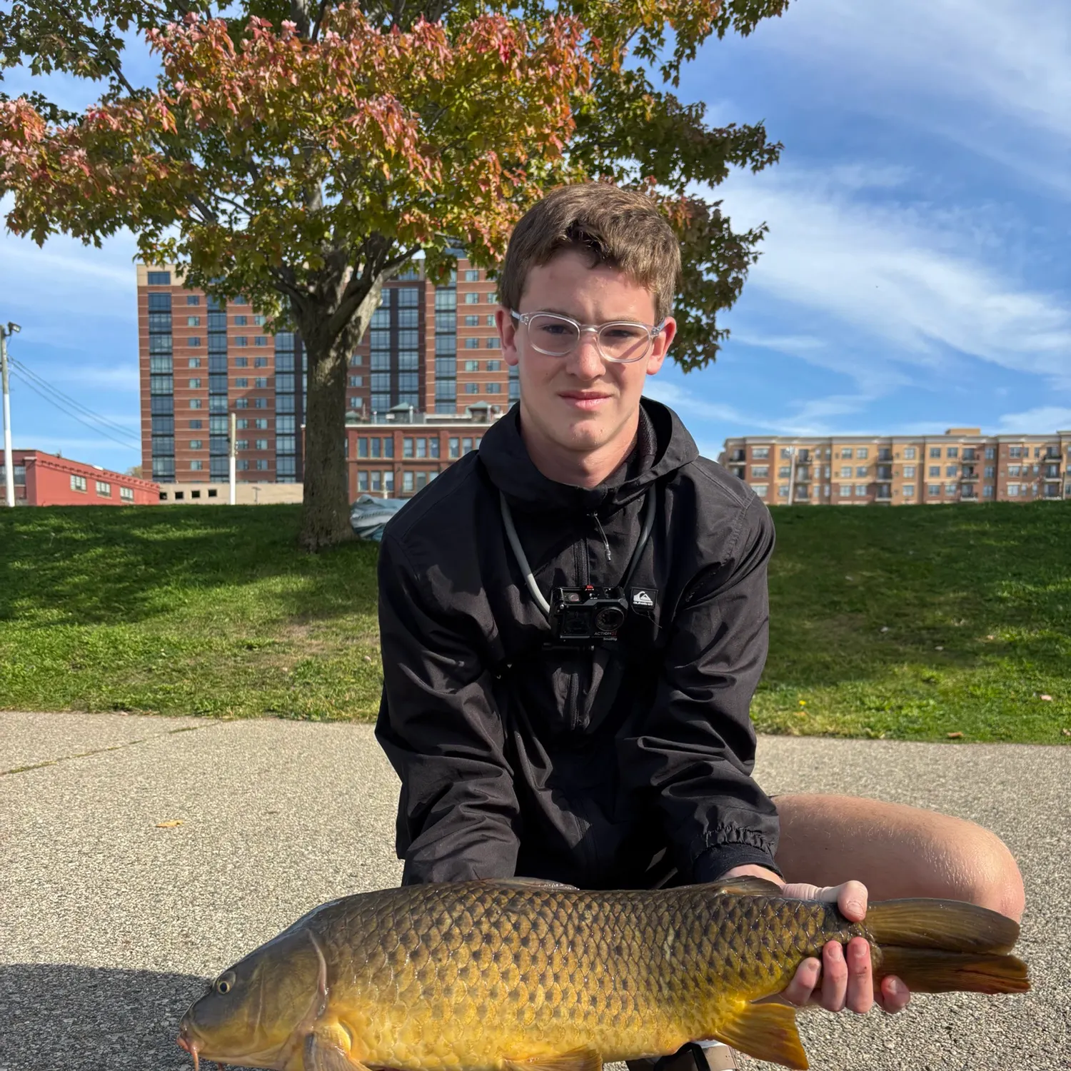 Common carp caught on Fishbrain