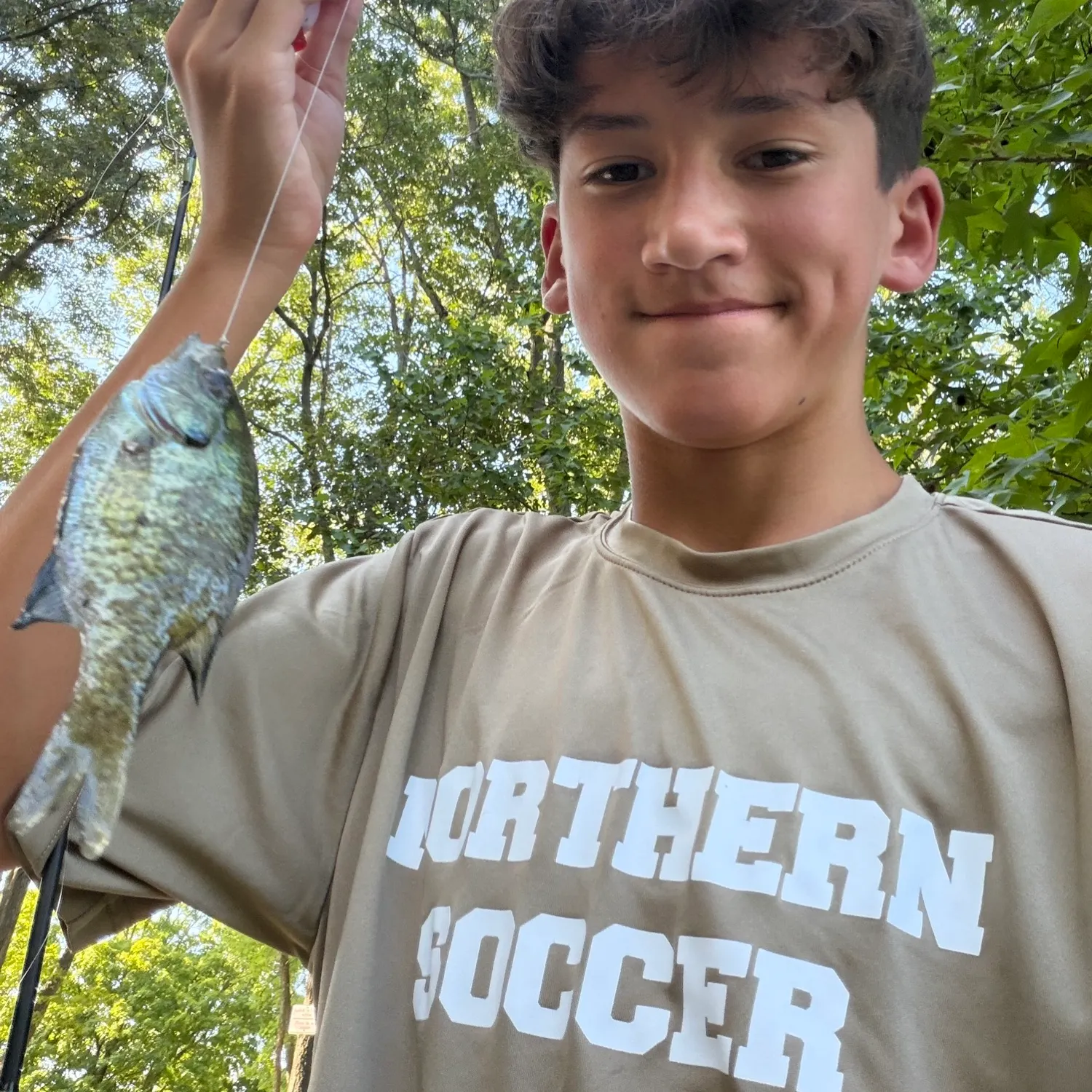 Bluegill caught on Fishbrain