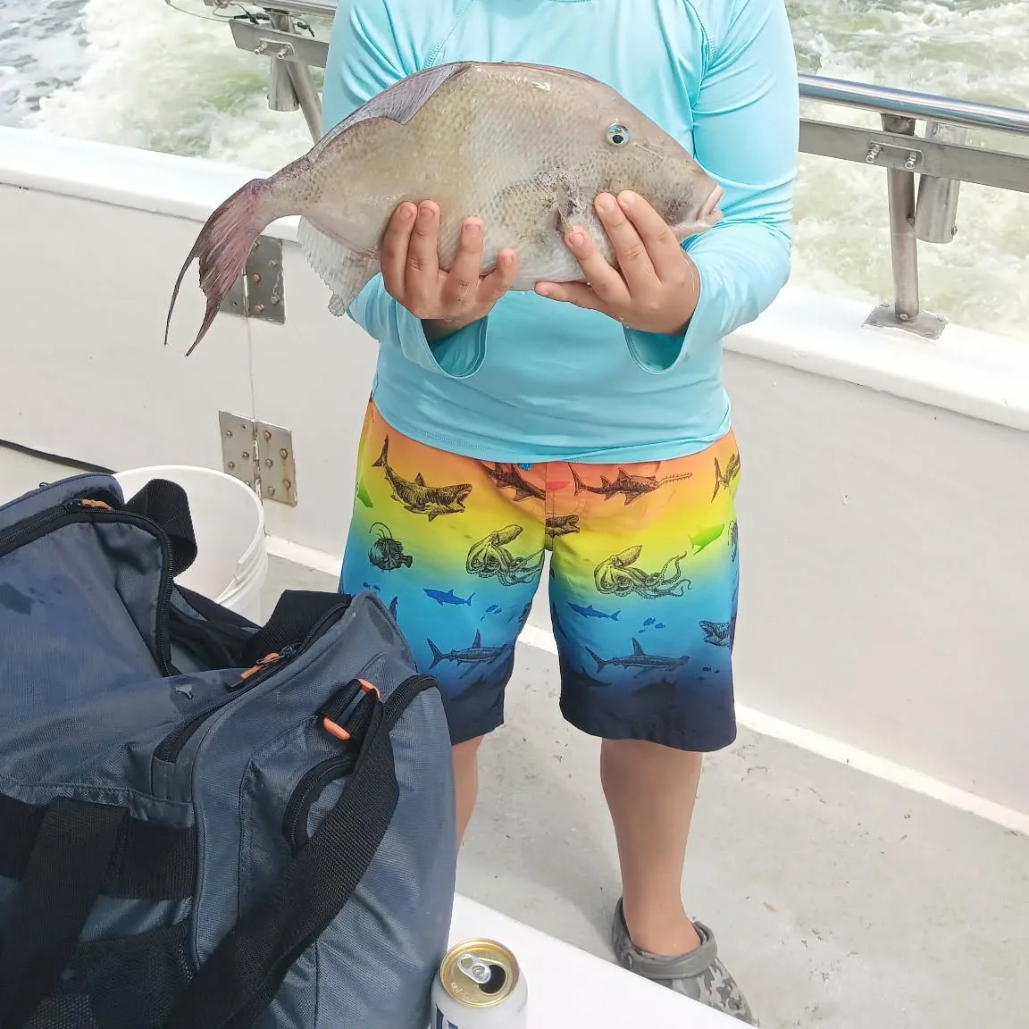 Grey triggerfish caught on Fishbrain