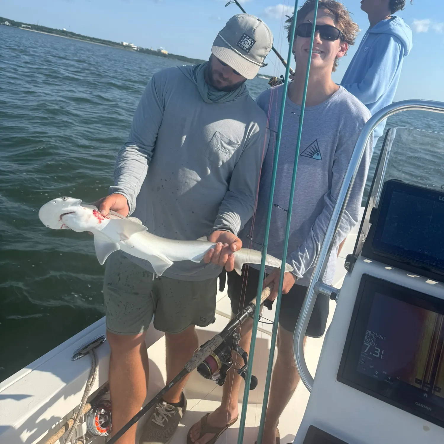 The most recent Bonnethead shark catches on Fishbrain