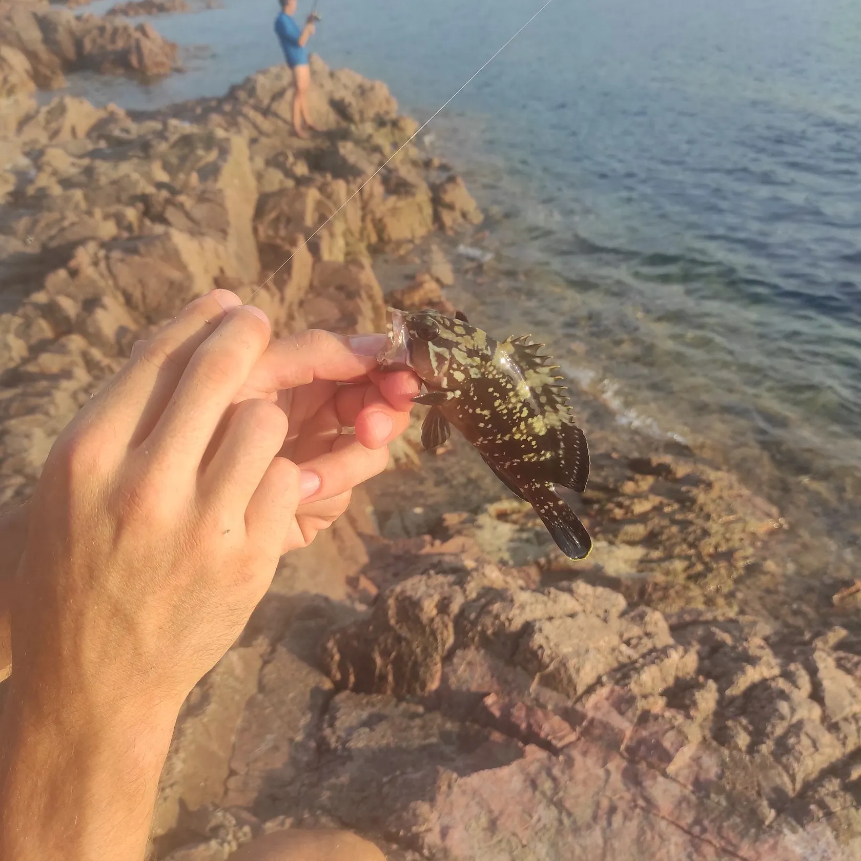 Fish caught on Fishbrain