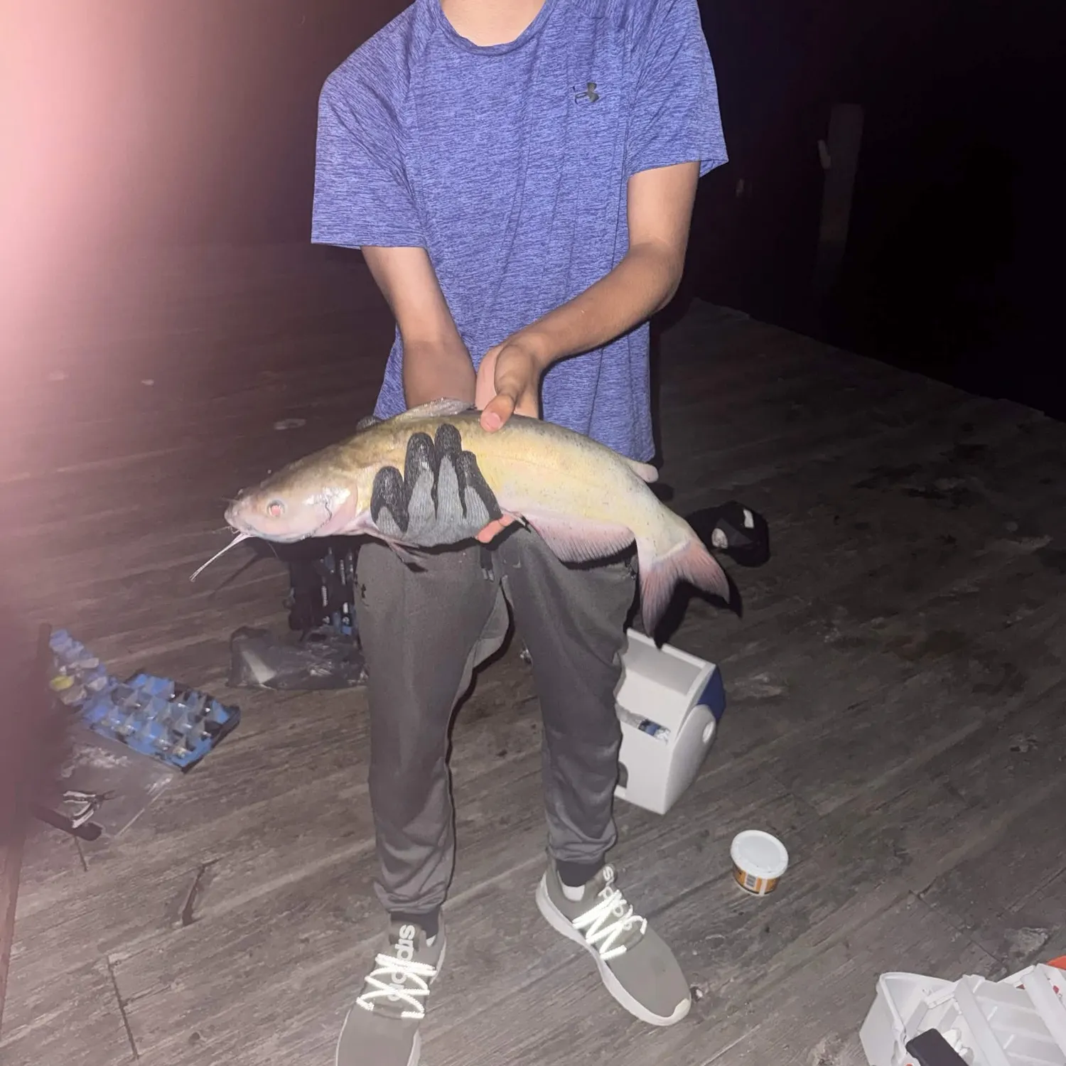Channel catfish caught on Fishbrain