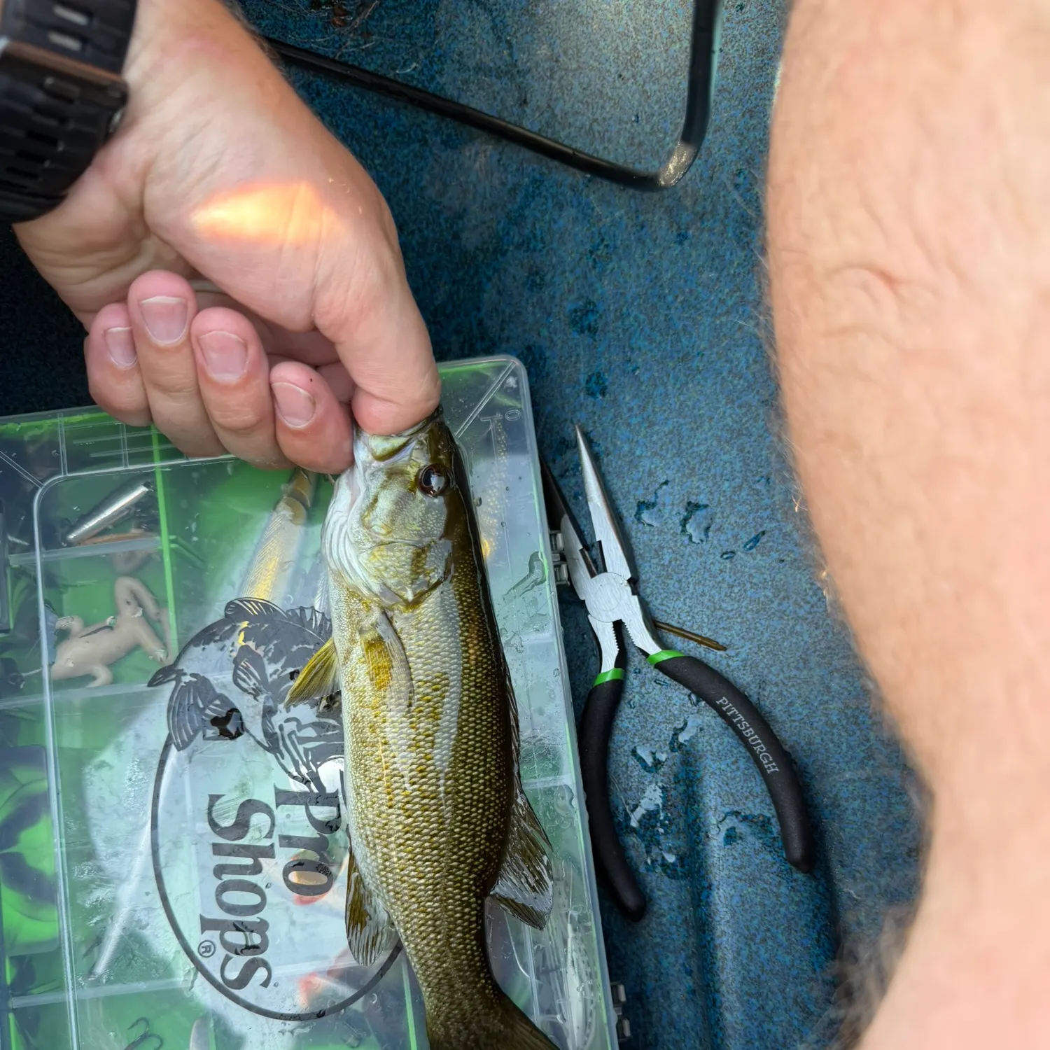 catch