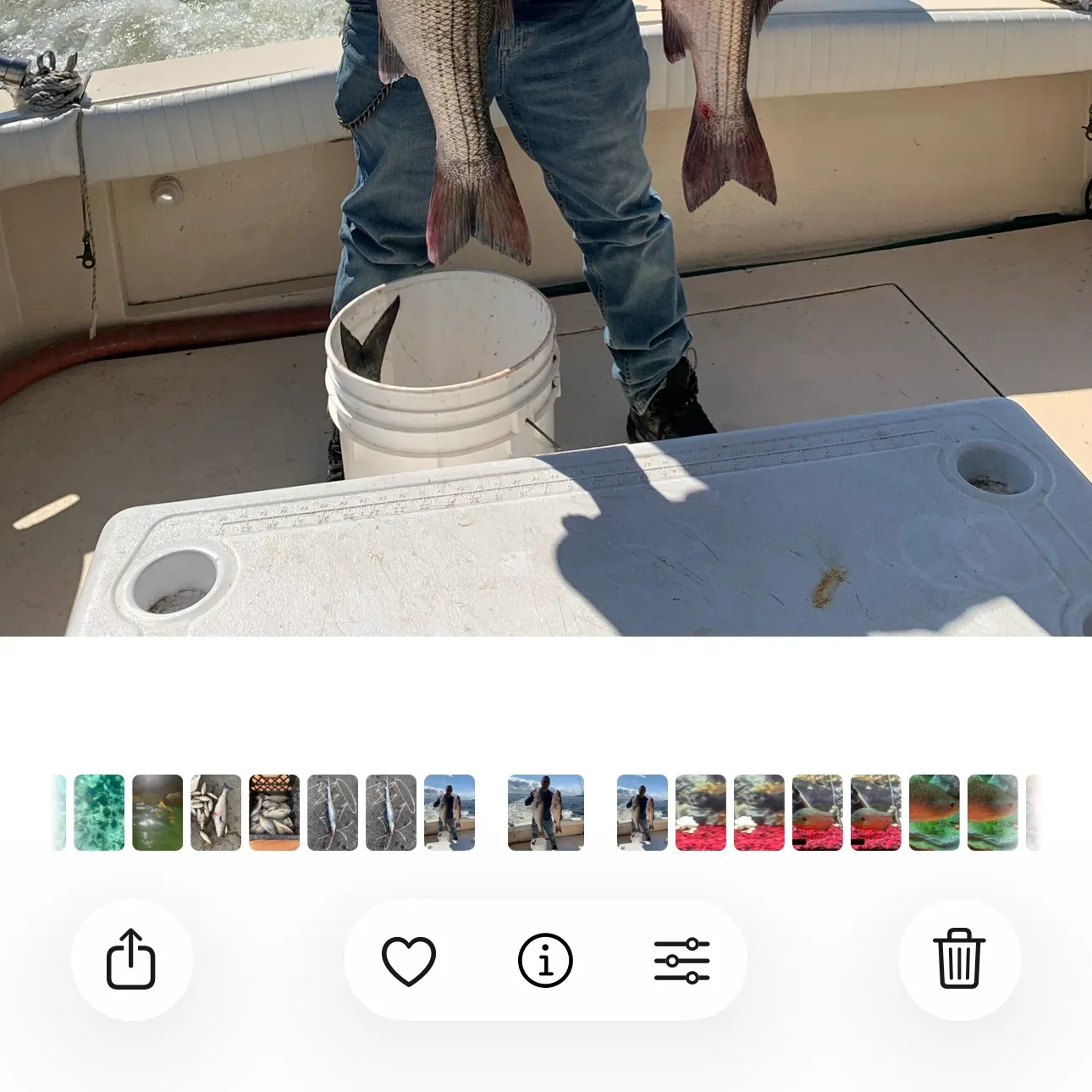 recently logged catches
