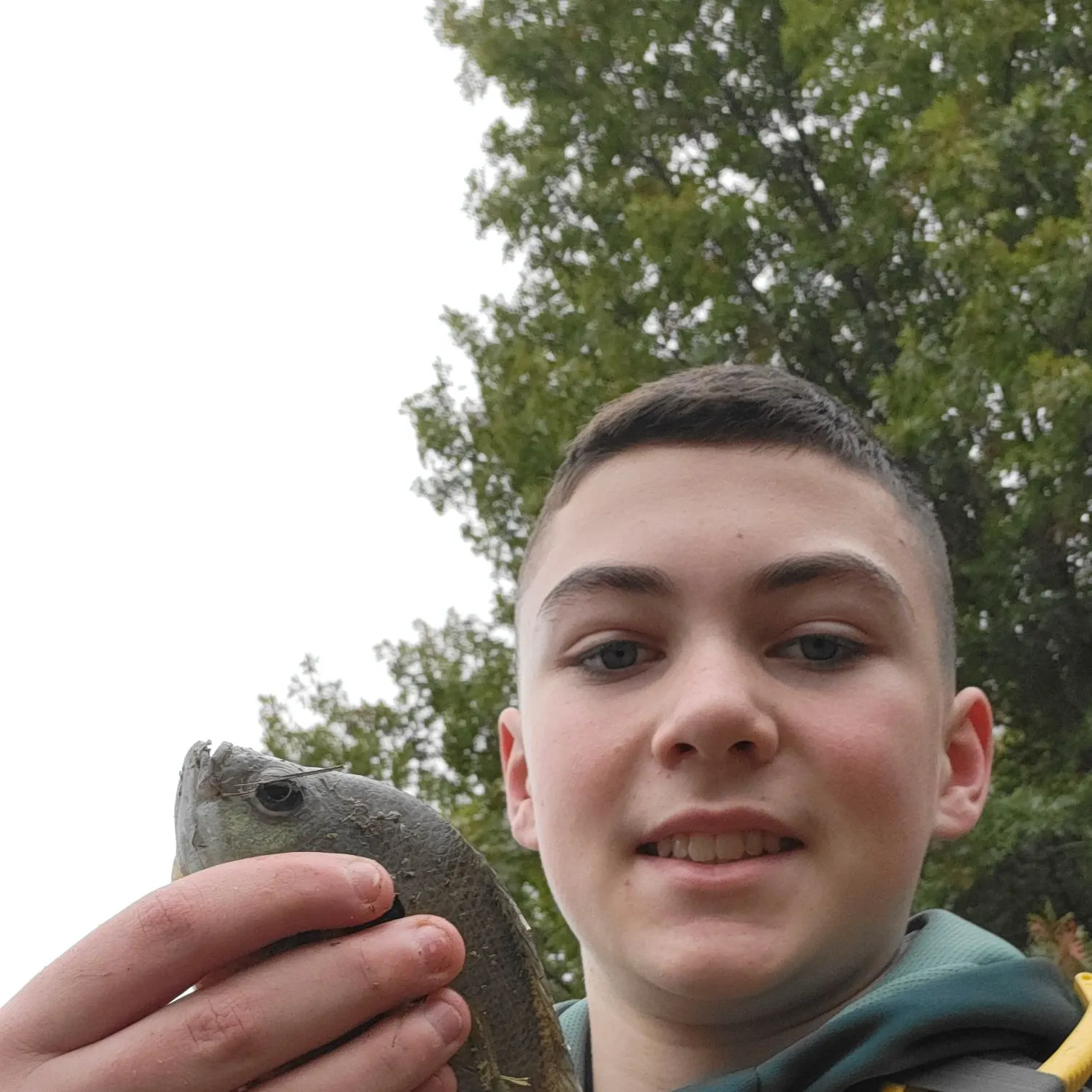 Bluegill caught on Fishbrain