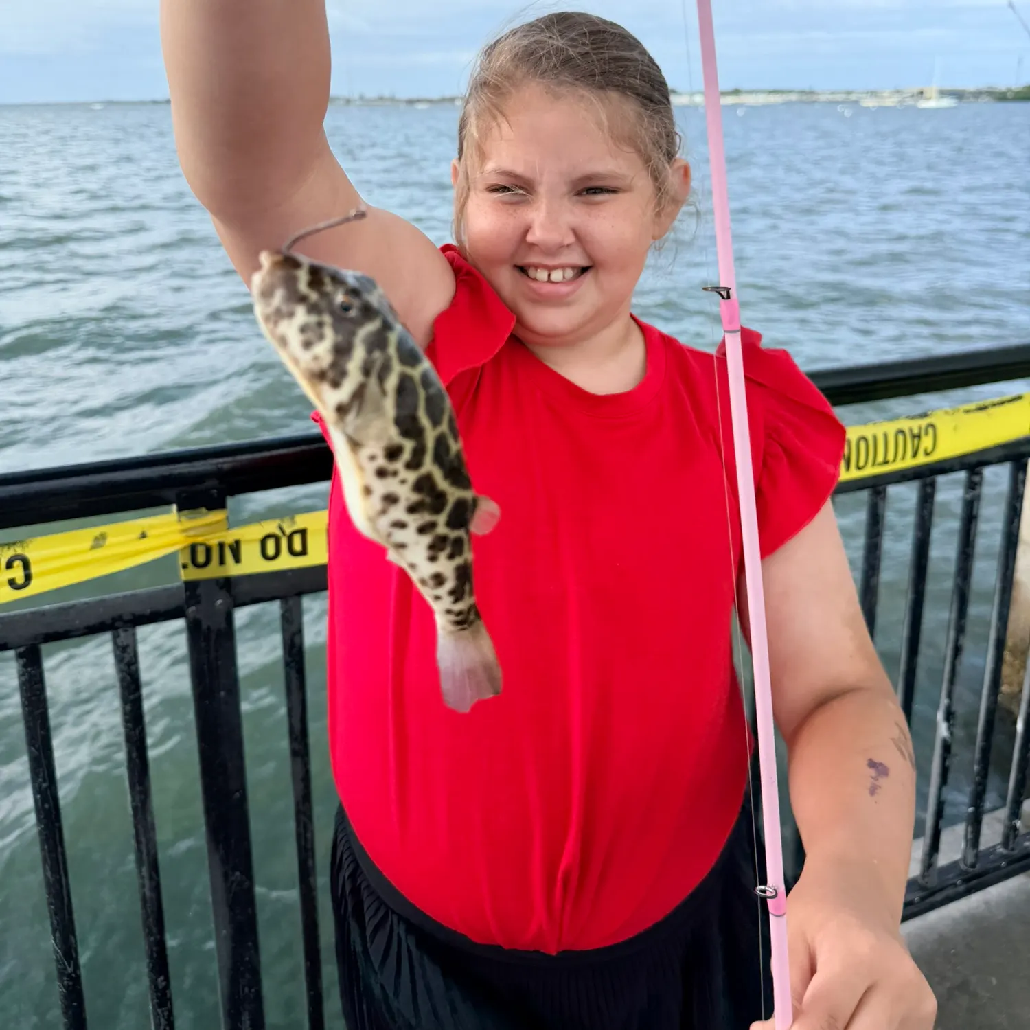 The most recent Checkered puffer catches on Fishbrain