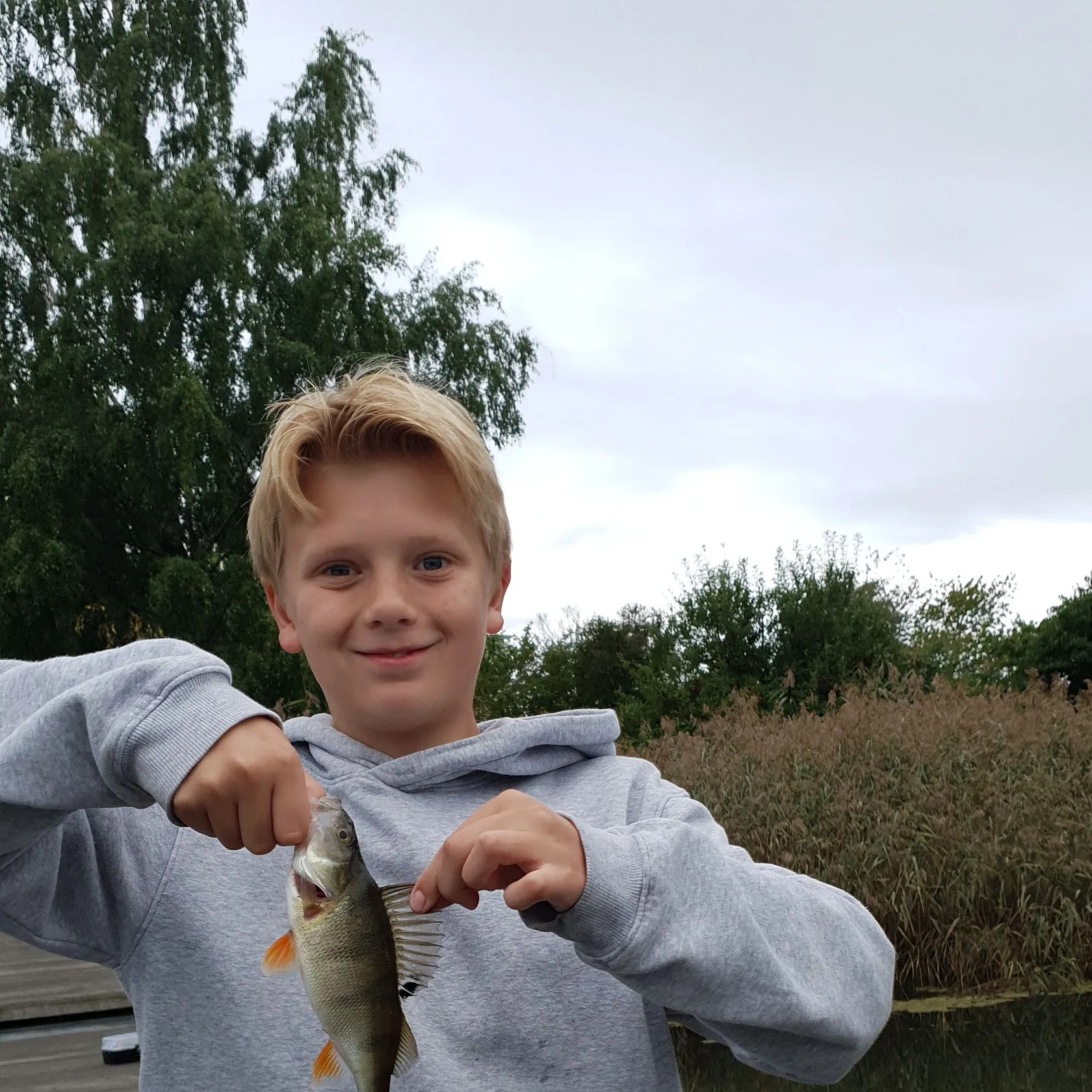 European perch caught on Fishbrain