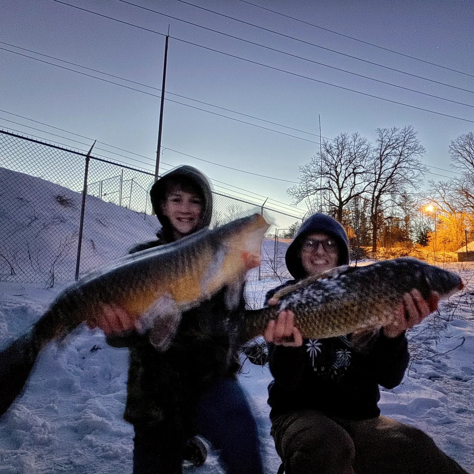 recently logged catches