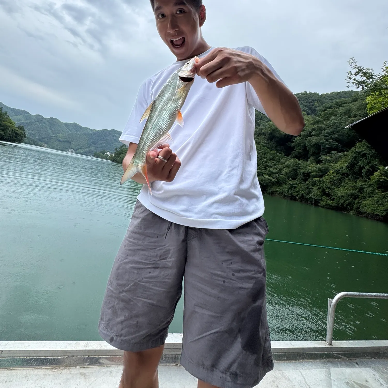 The most recent Predatory carp catches on Fishbrain