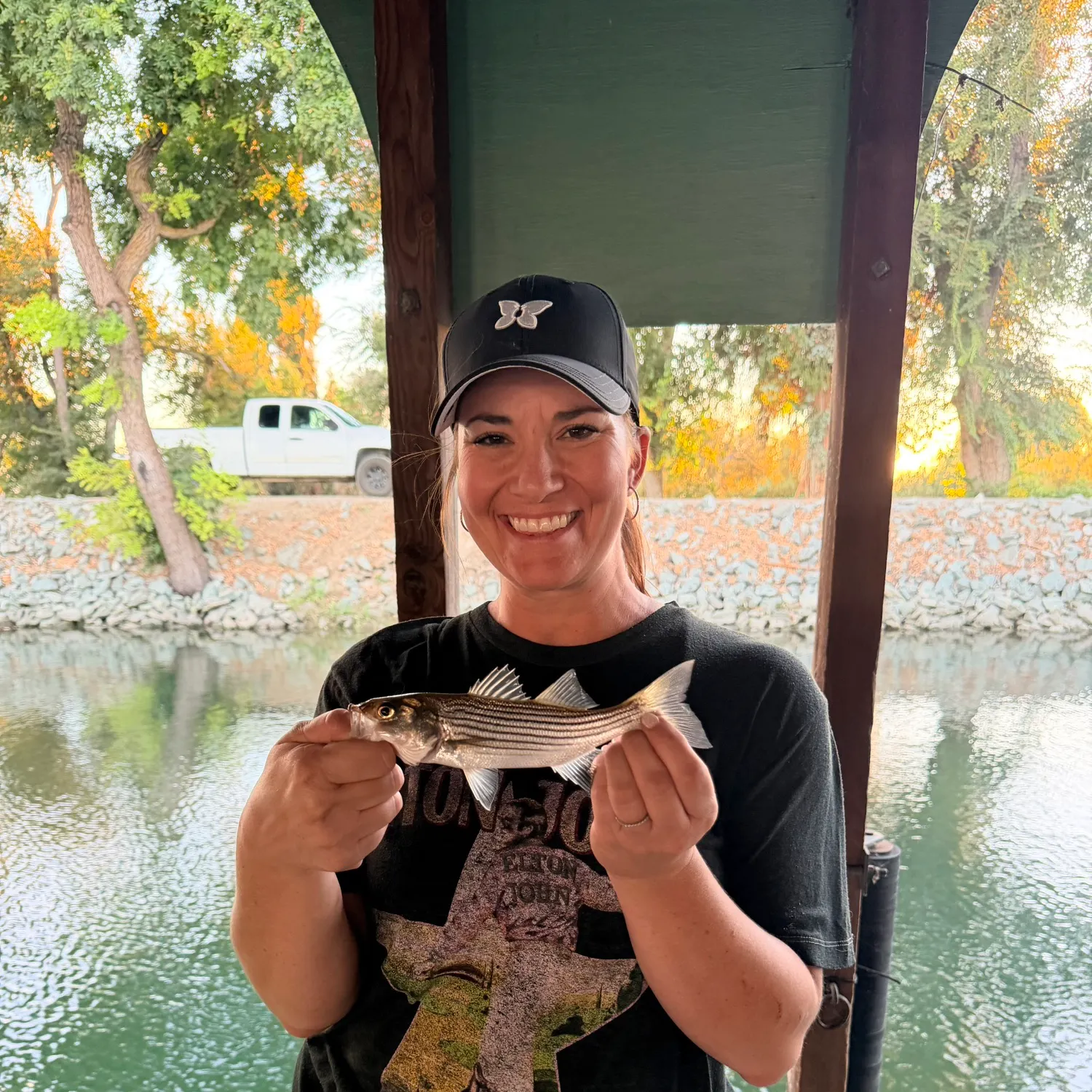 Striped bass caught on Fishbrain