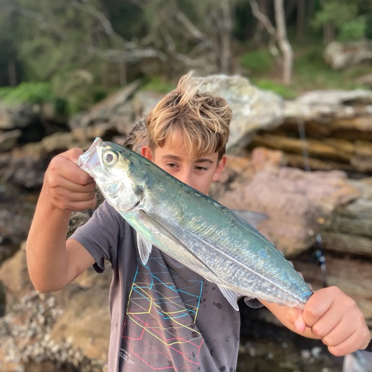 The most recent Torpedo scad catches on Fishbrain