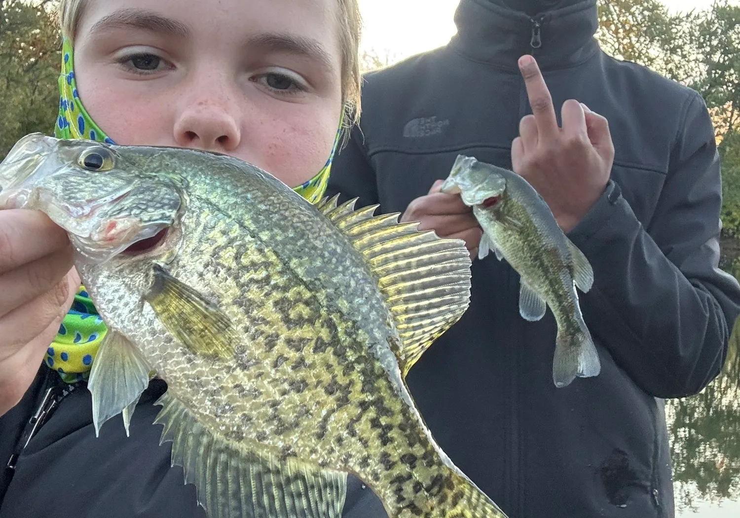 Black crappie