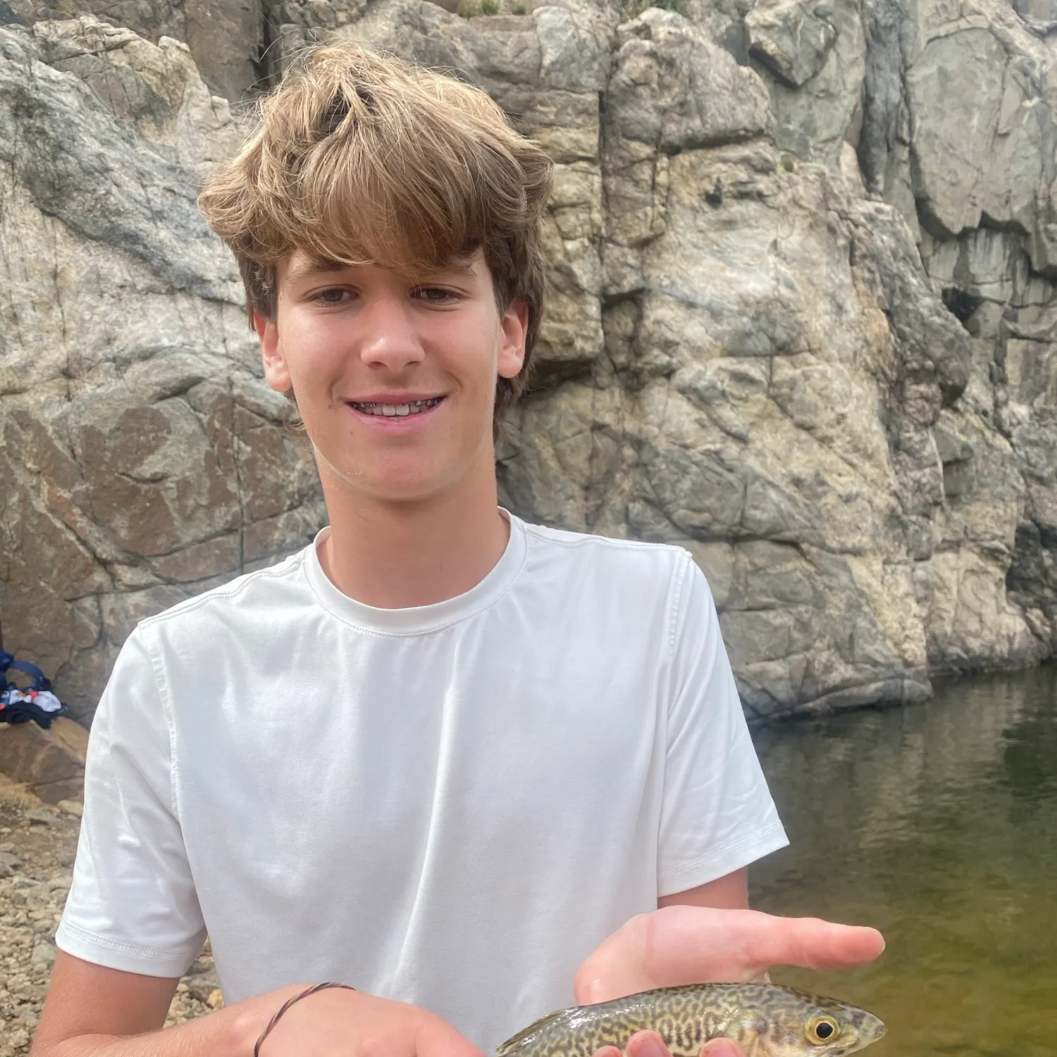 Tiger trout caught on Fishbrain