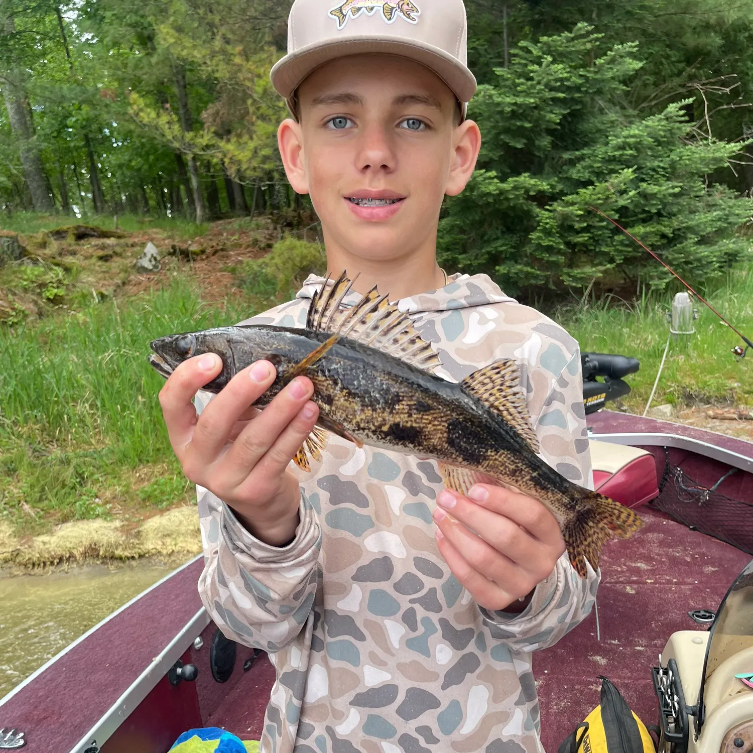 The most recent Sauger catches on Fishbrain