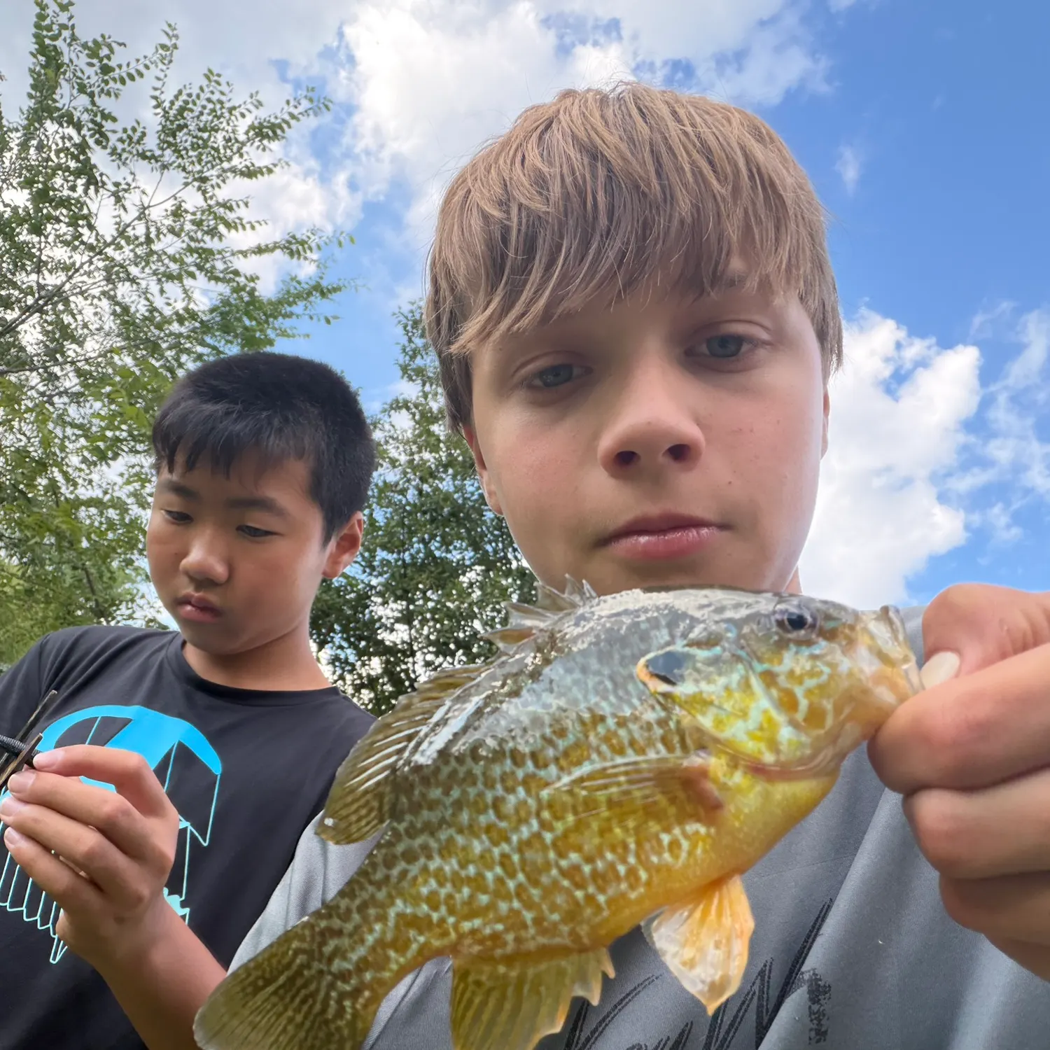 Pumpkinseed caught on Fishbrain