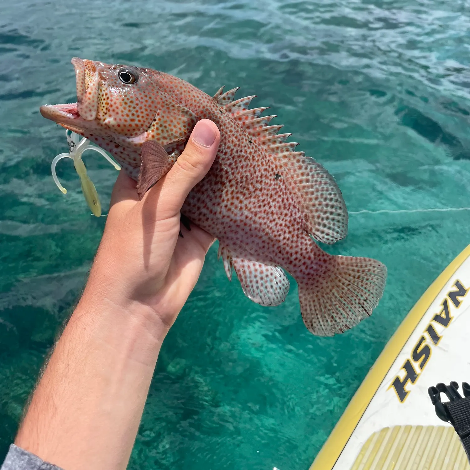 most liked catch image
