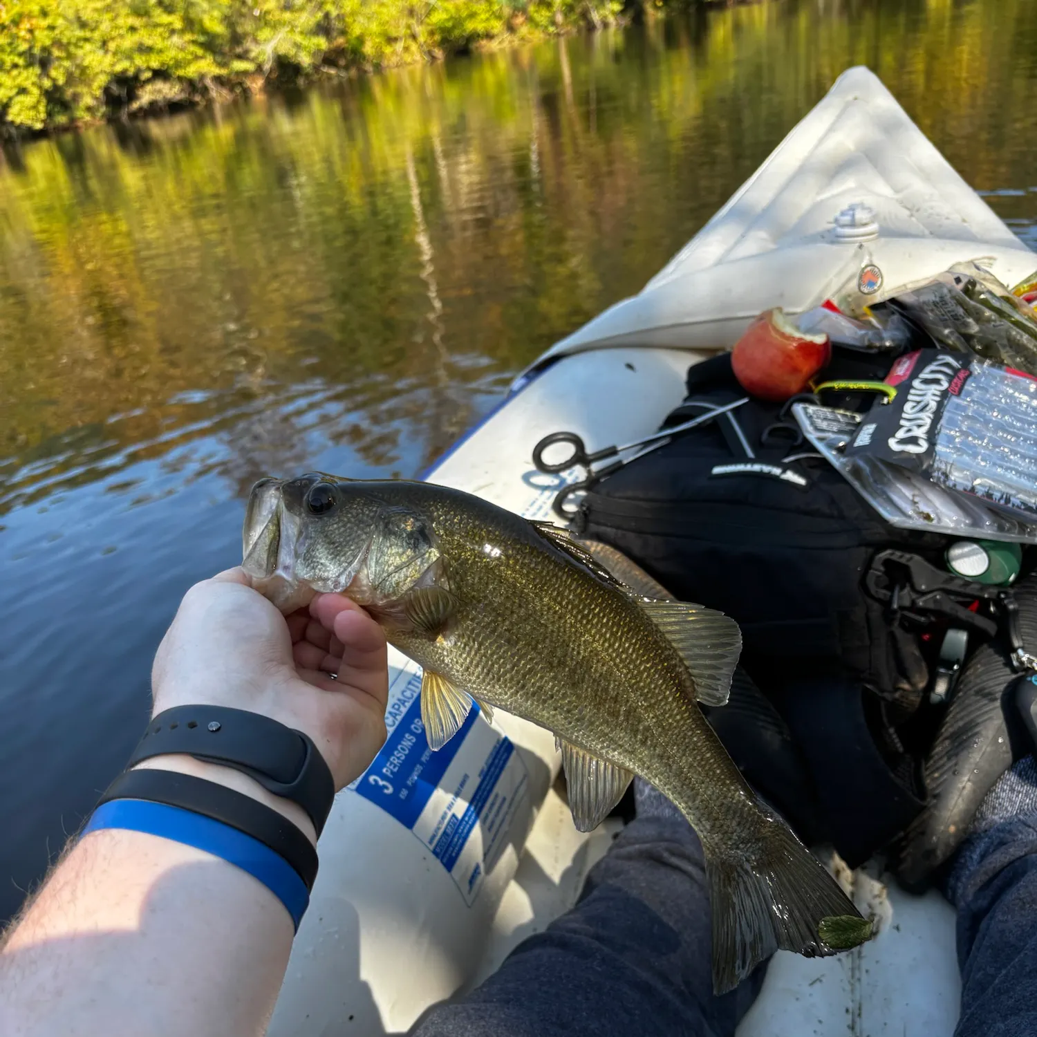Fish caught on Fishbrain