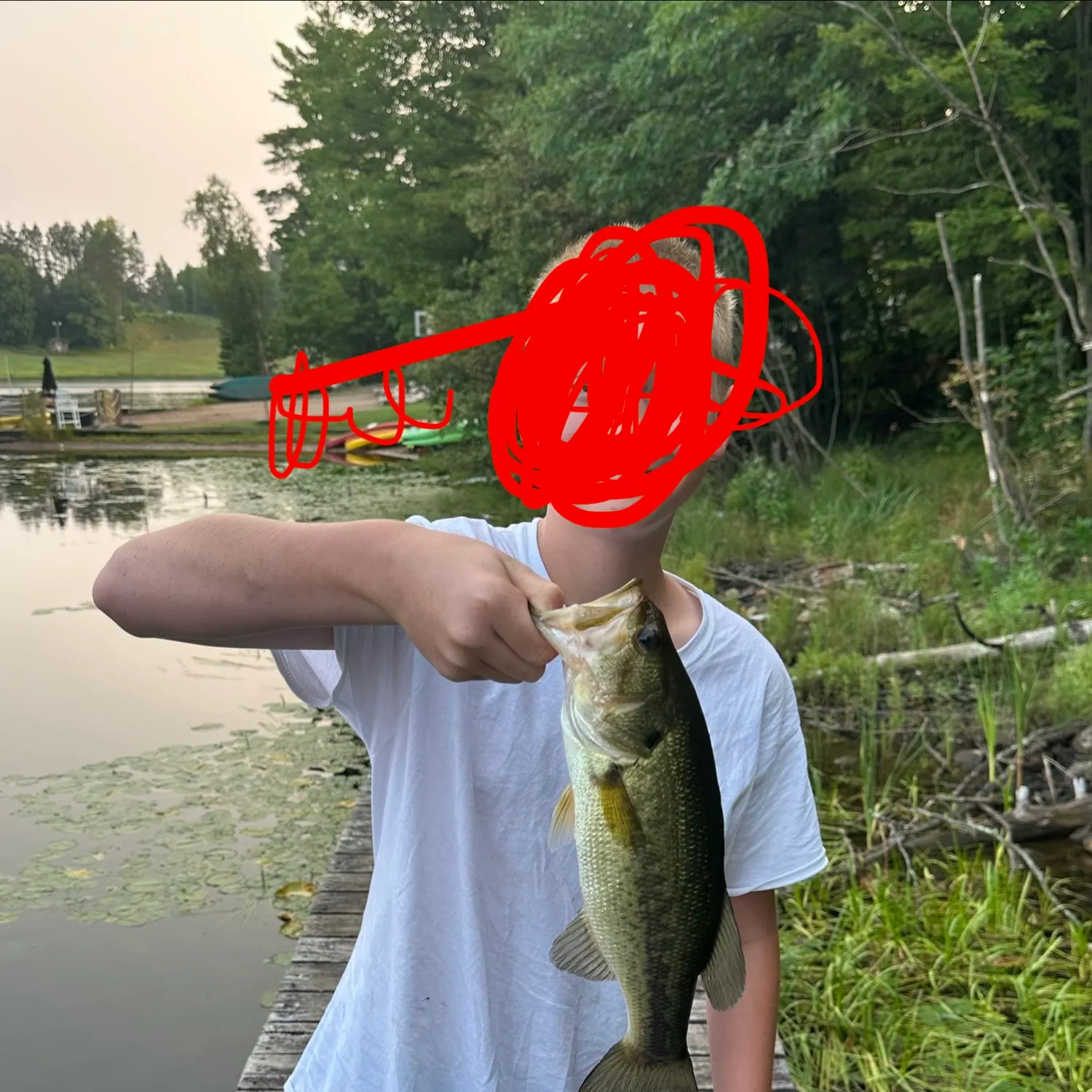 Fish caught on Fishbrain