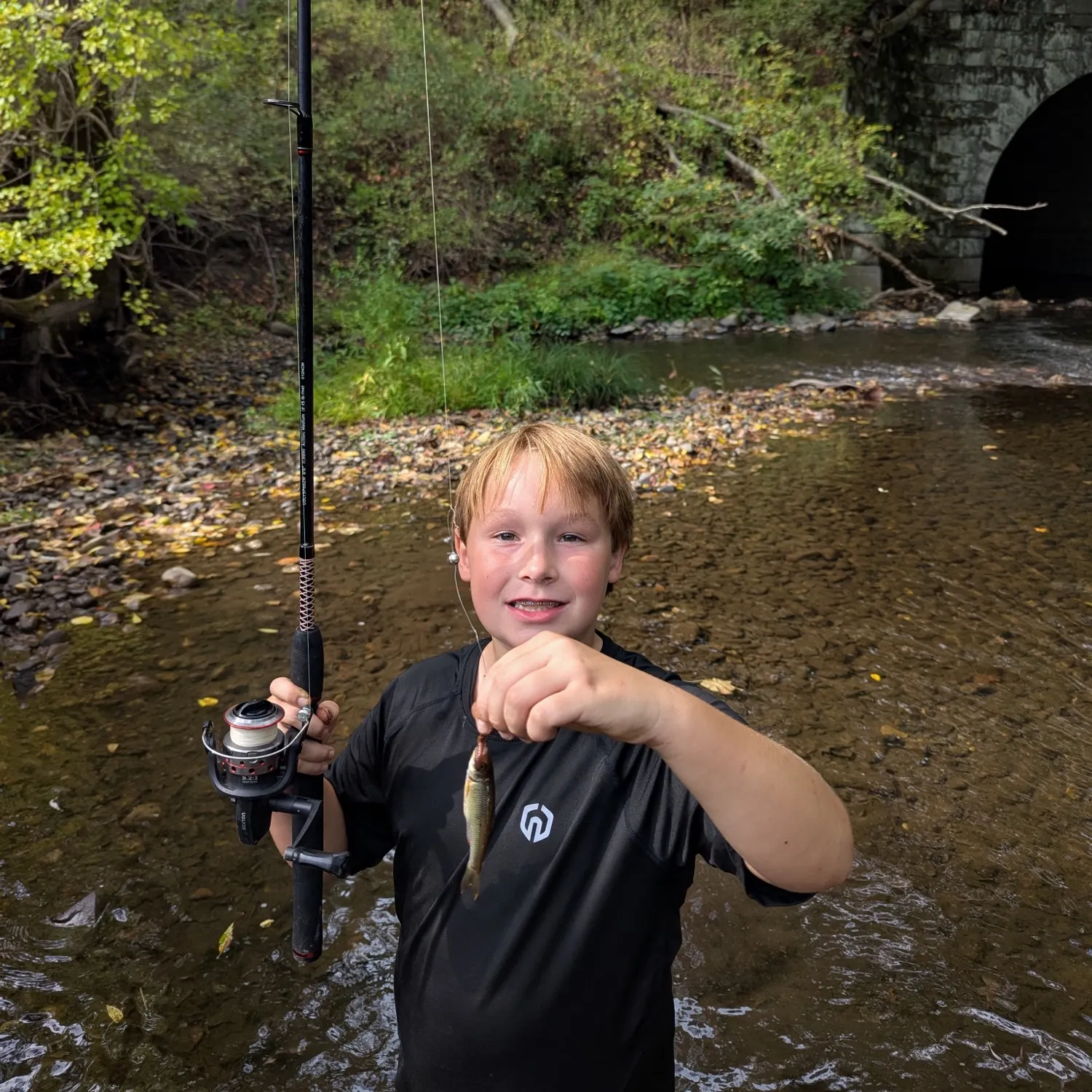 The most recent Blacknose shiner catches on Fishbrain