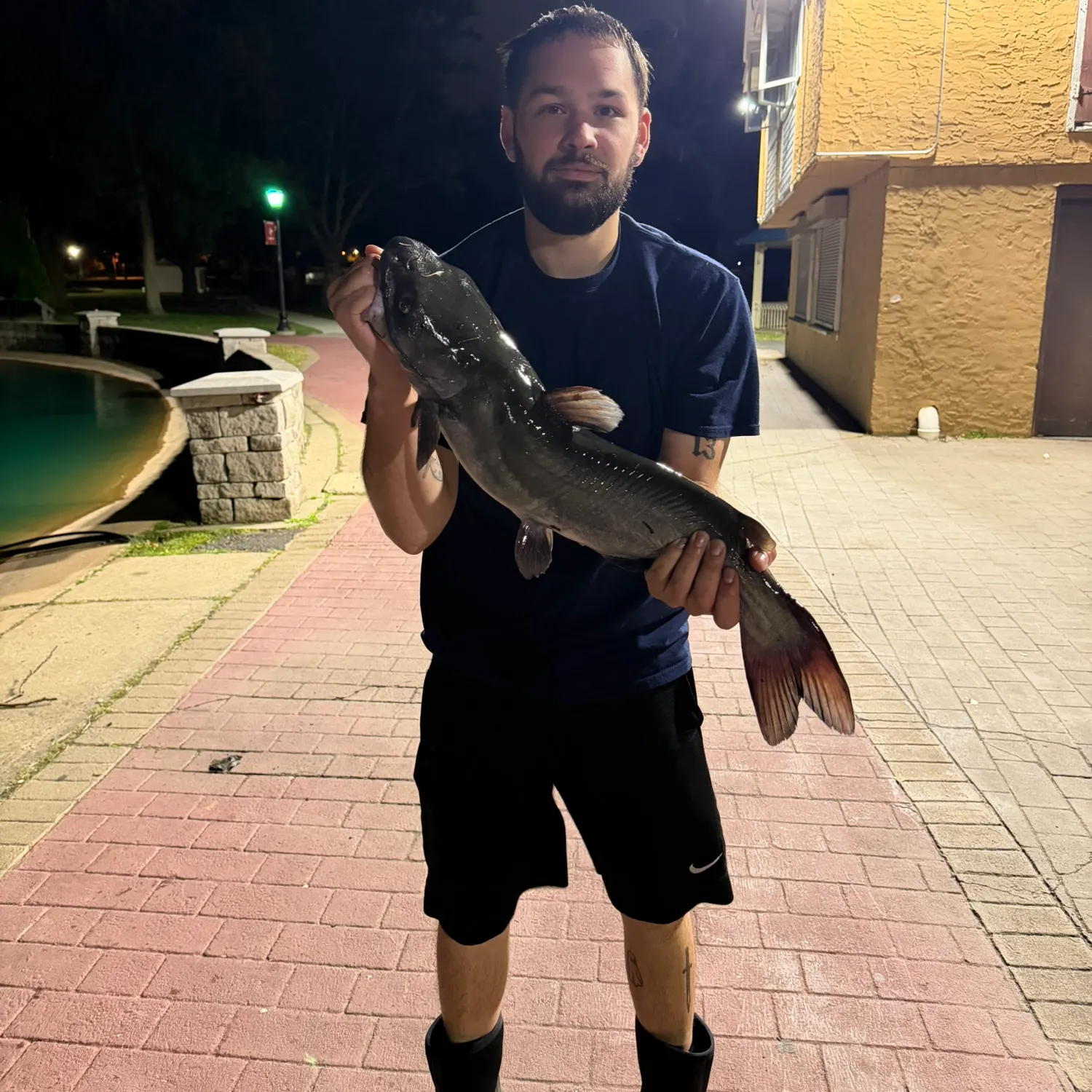 Channel catfish caught on Fishbrain