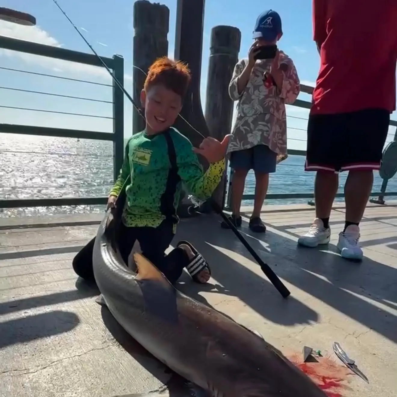 The most recent Tope shark catches on Fishbrain