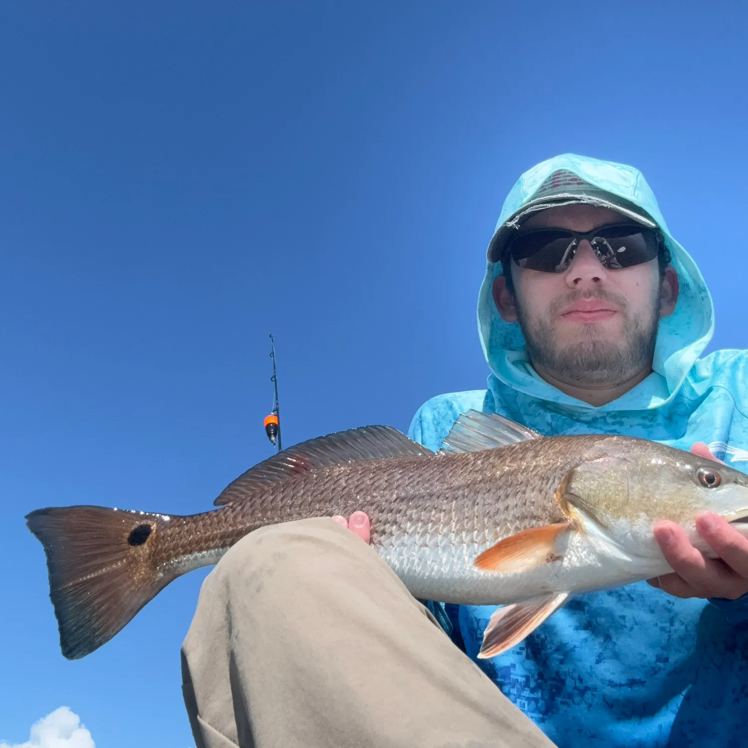Red drum caught on Fishbrain