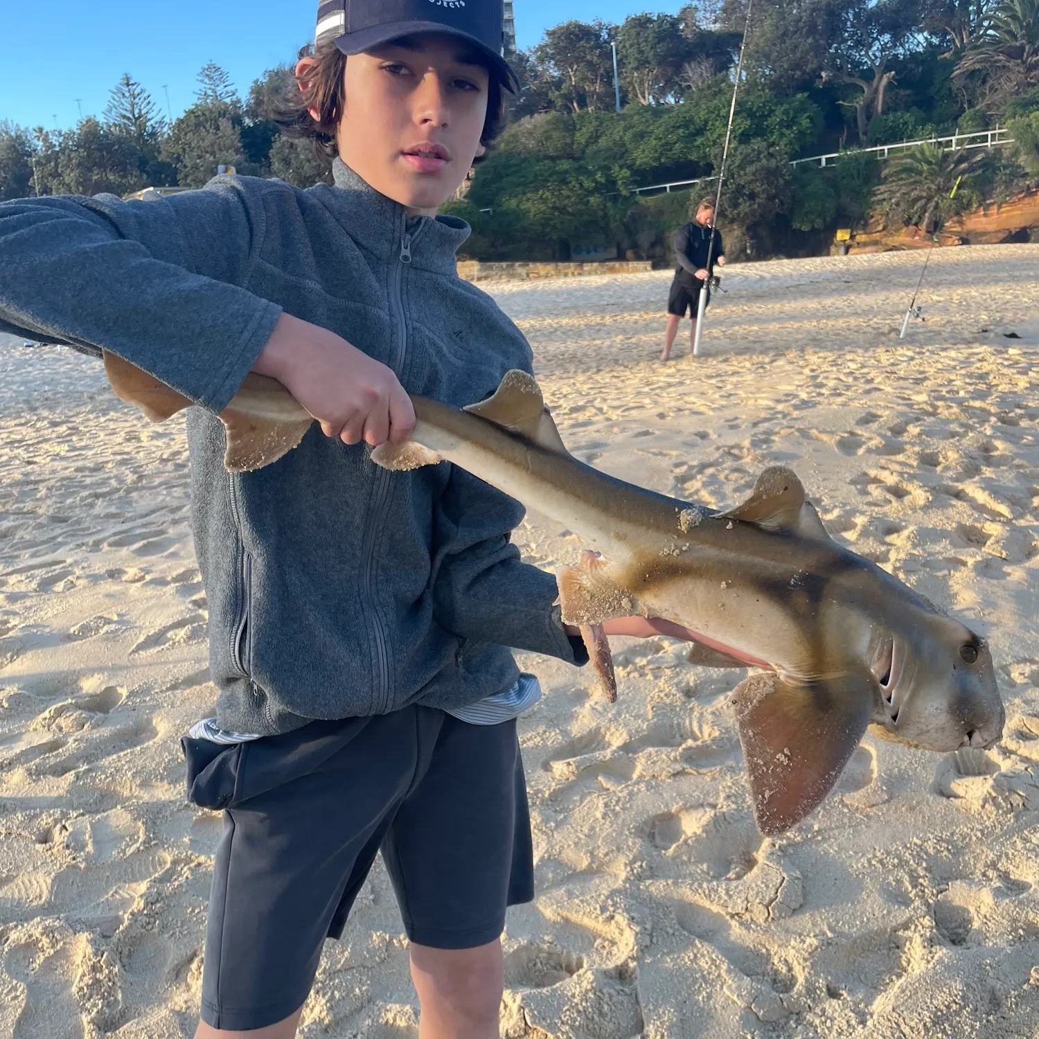 Port Jackson shark caught on Fishbrain