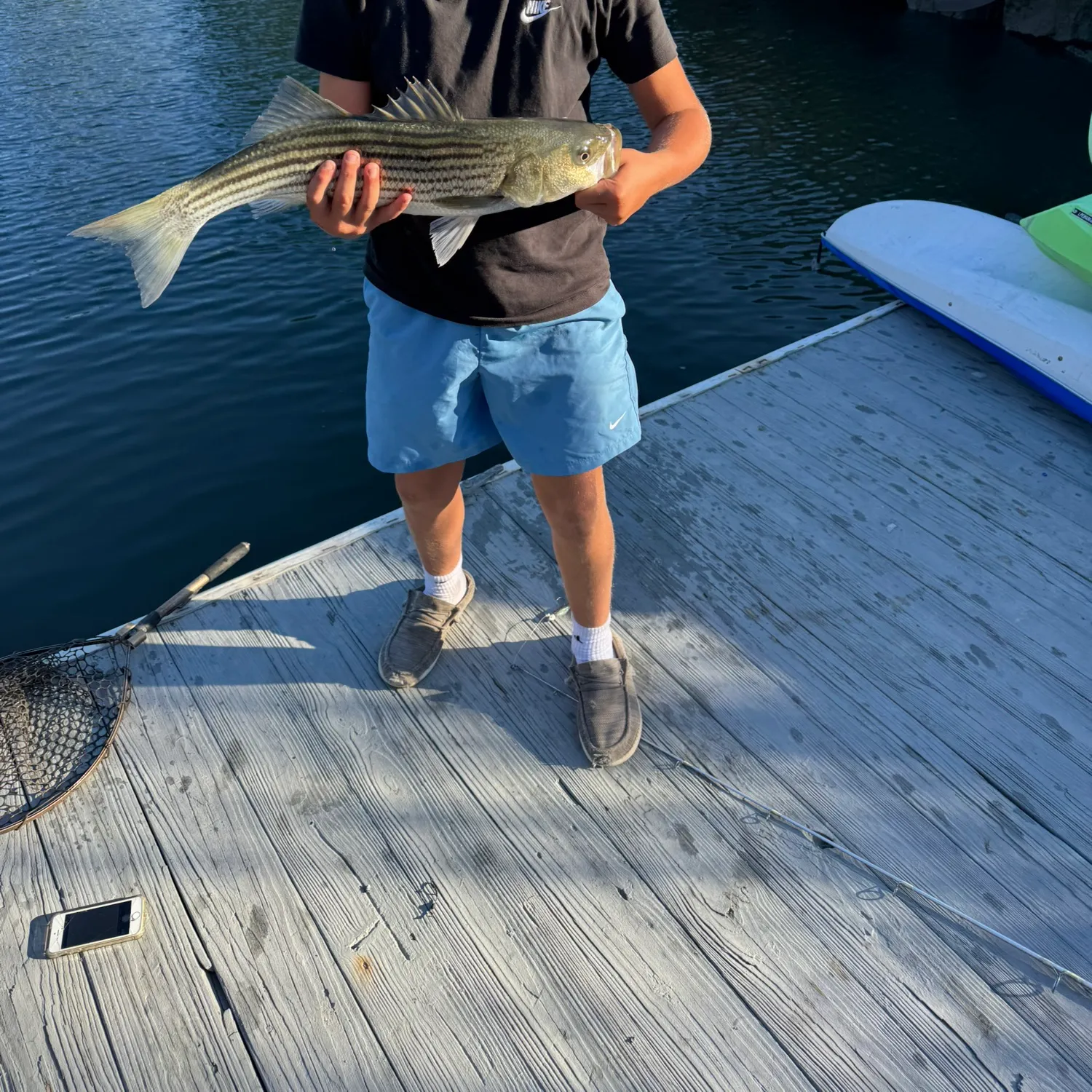 Striped bass caught on Fishbrain
