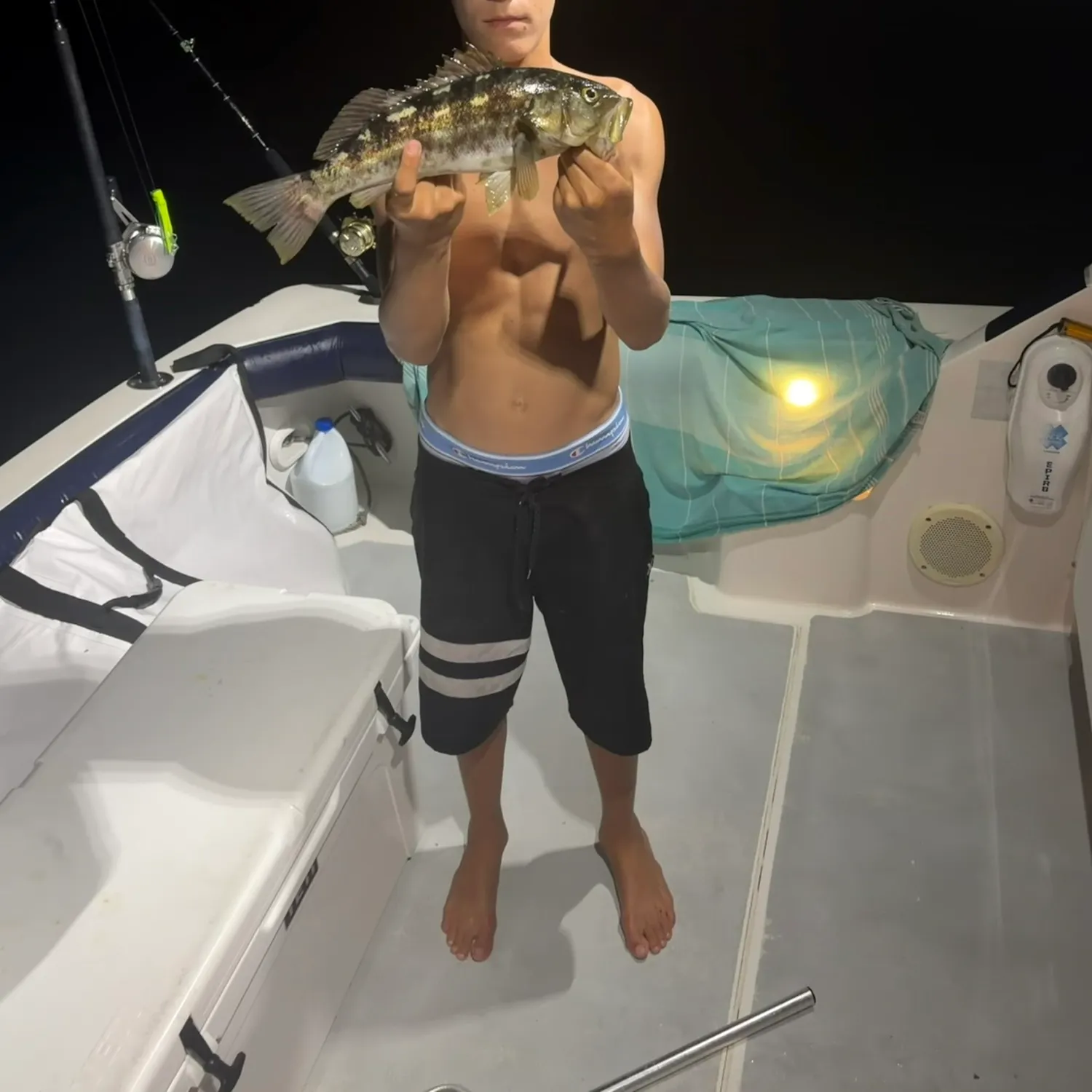 Kelp bass caught on Fishbrain