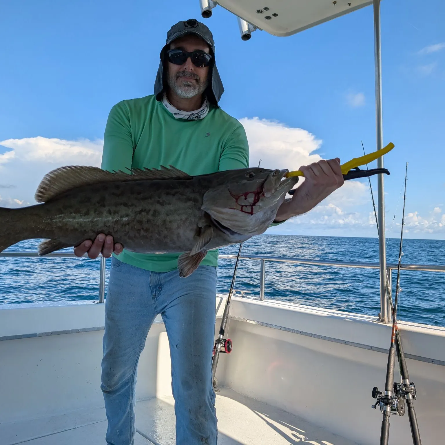 The most recent Gag grouper catches on Fishbrain