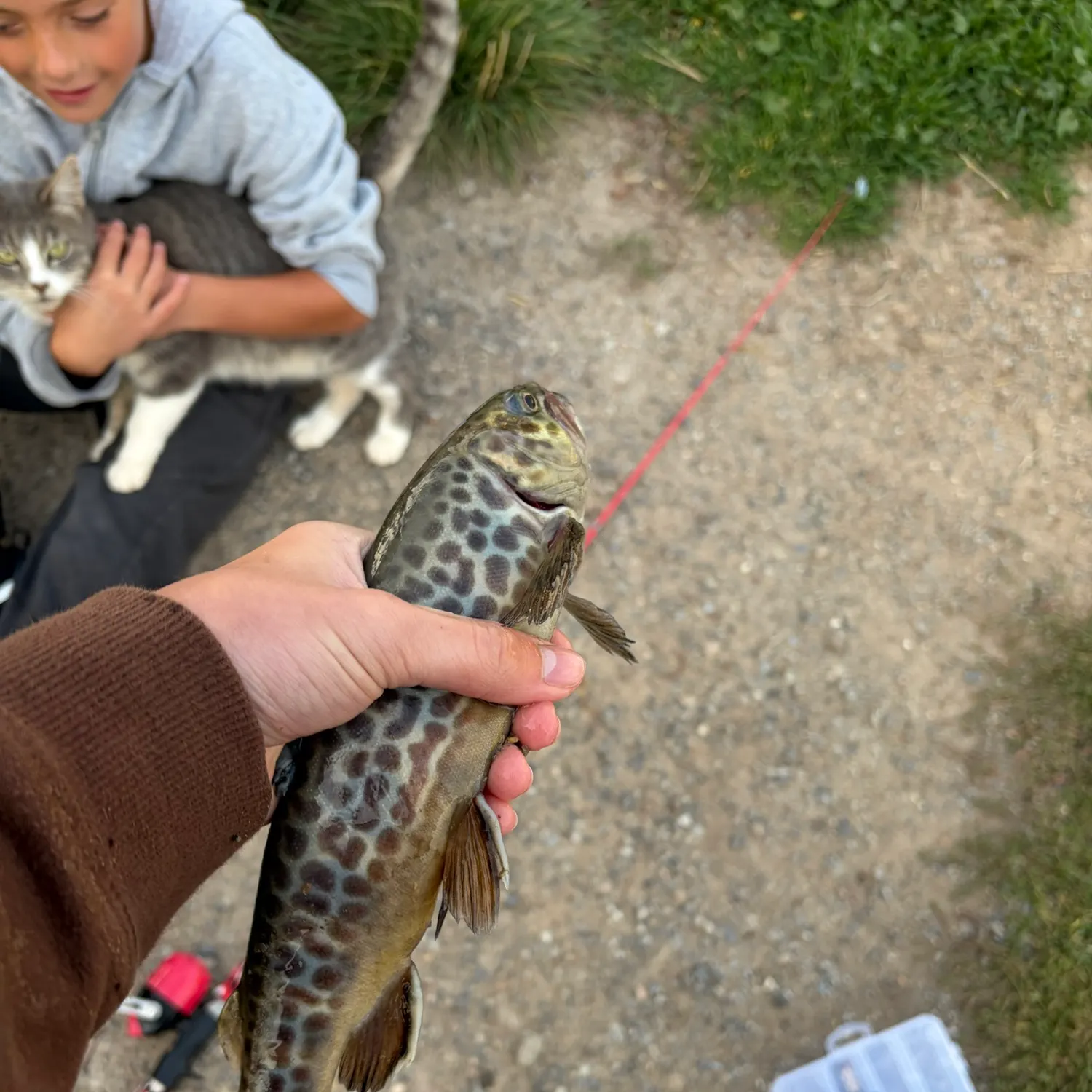 catch