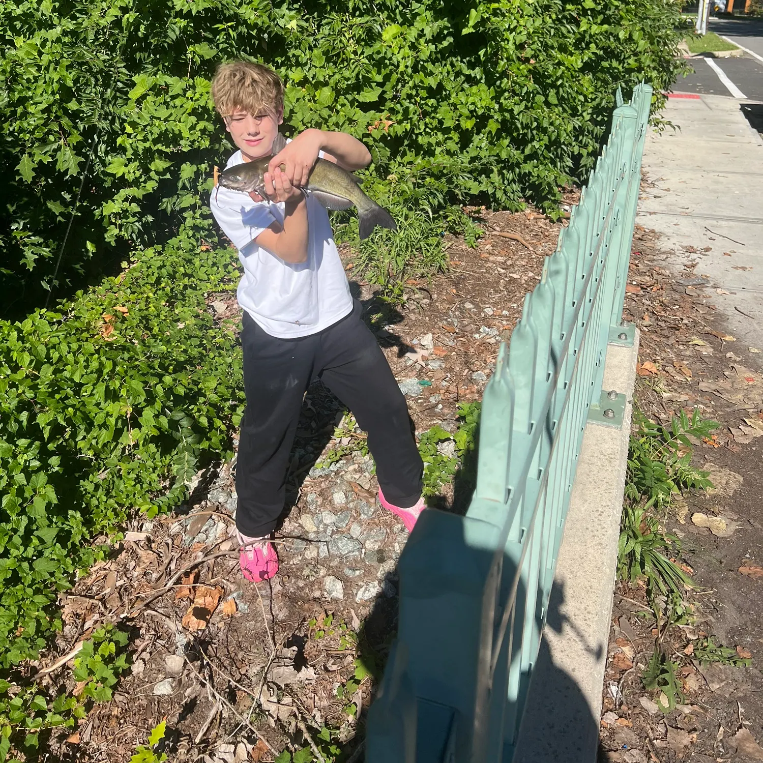catch
