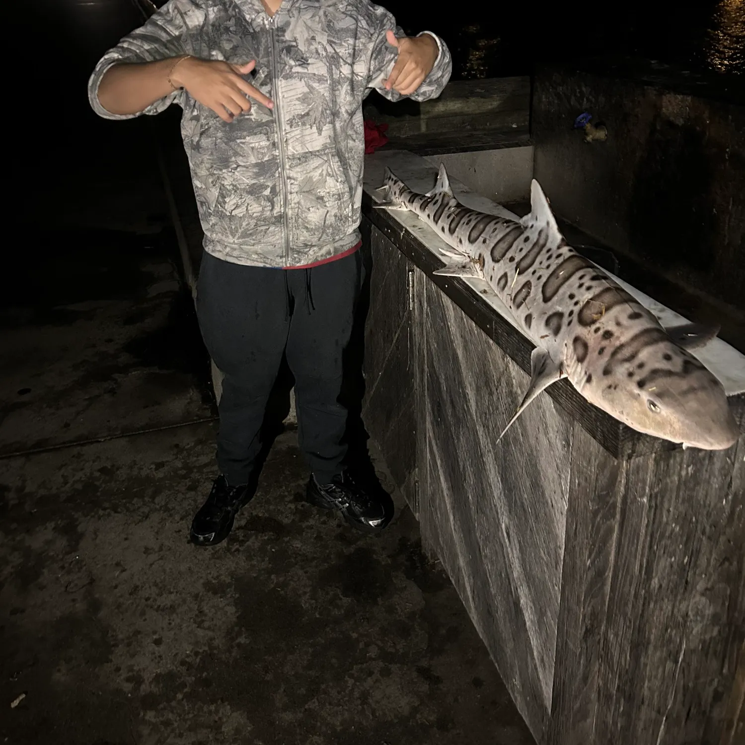Leopard shark caught on Fishbrain