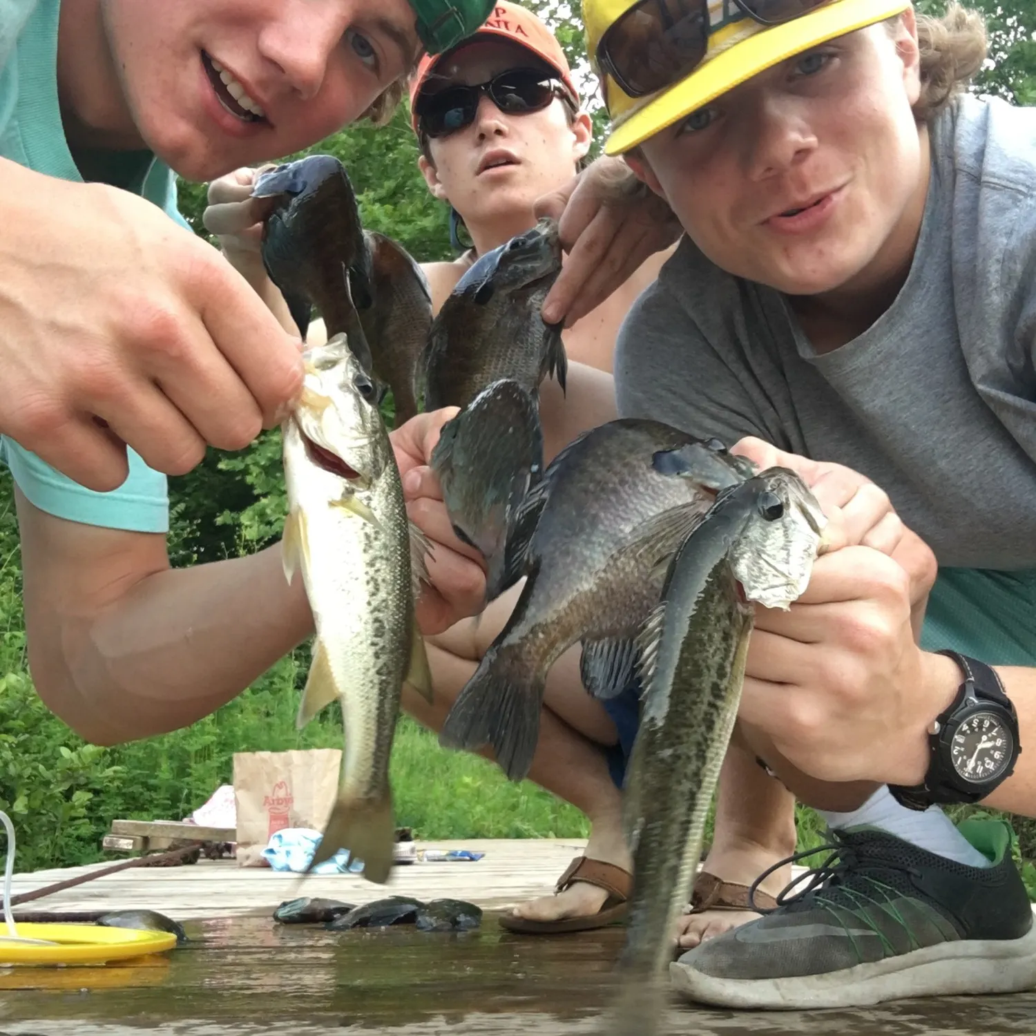 recently logged catches