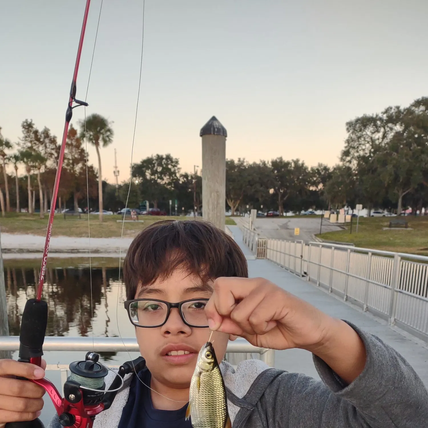 The most recent Golden shiner catches on Fishbrain