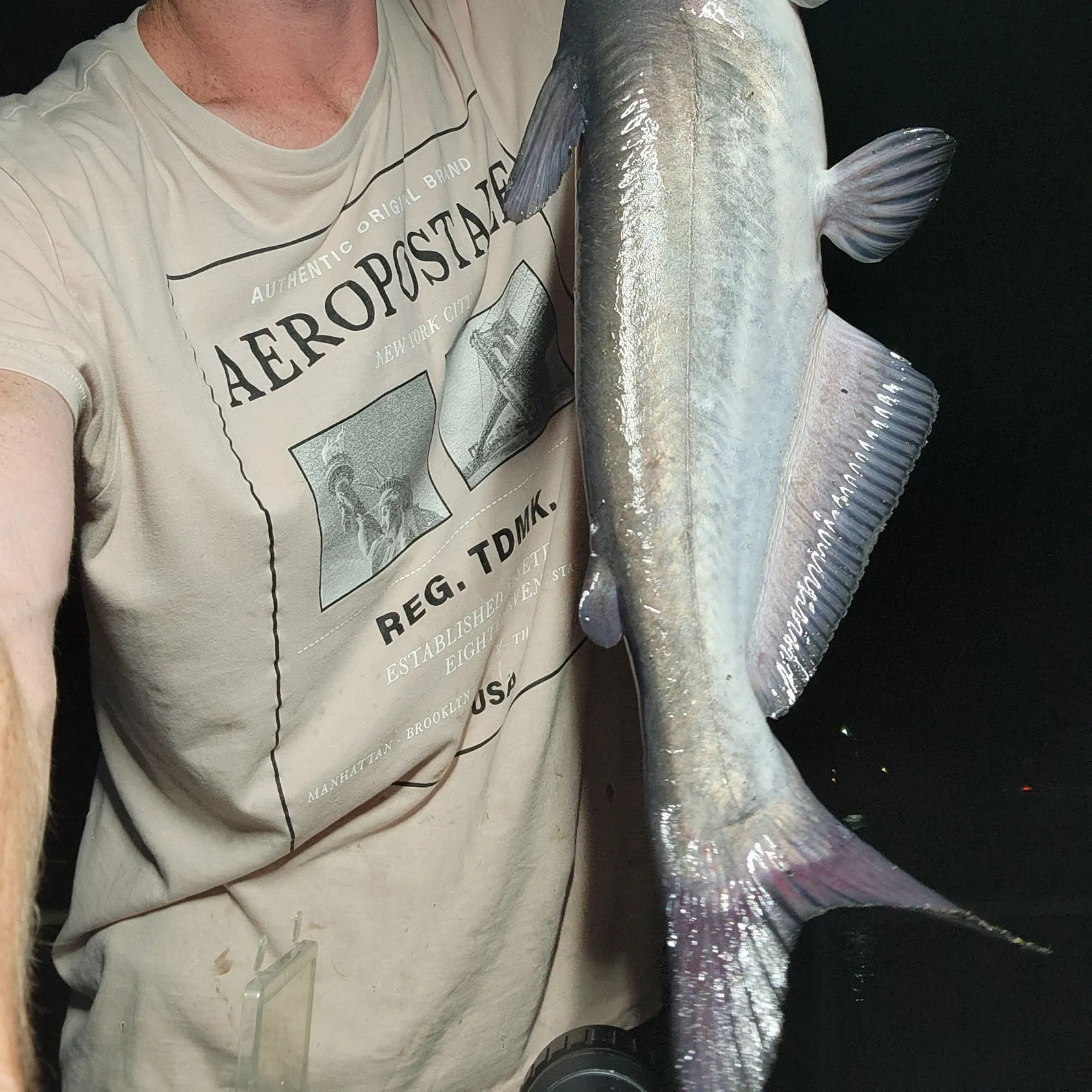 Blue catfish caught on Fishbrain