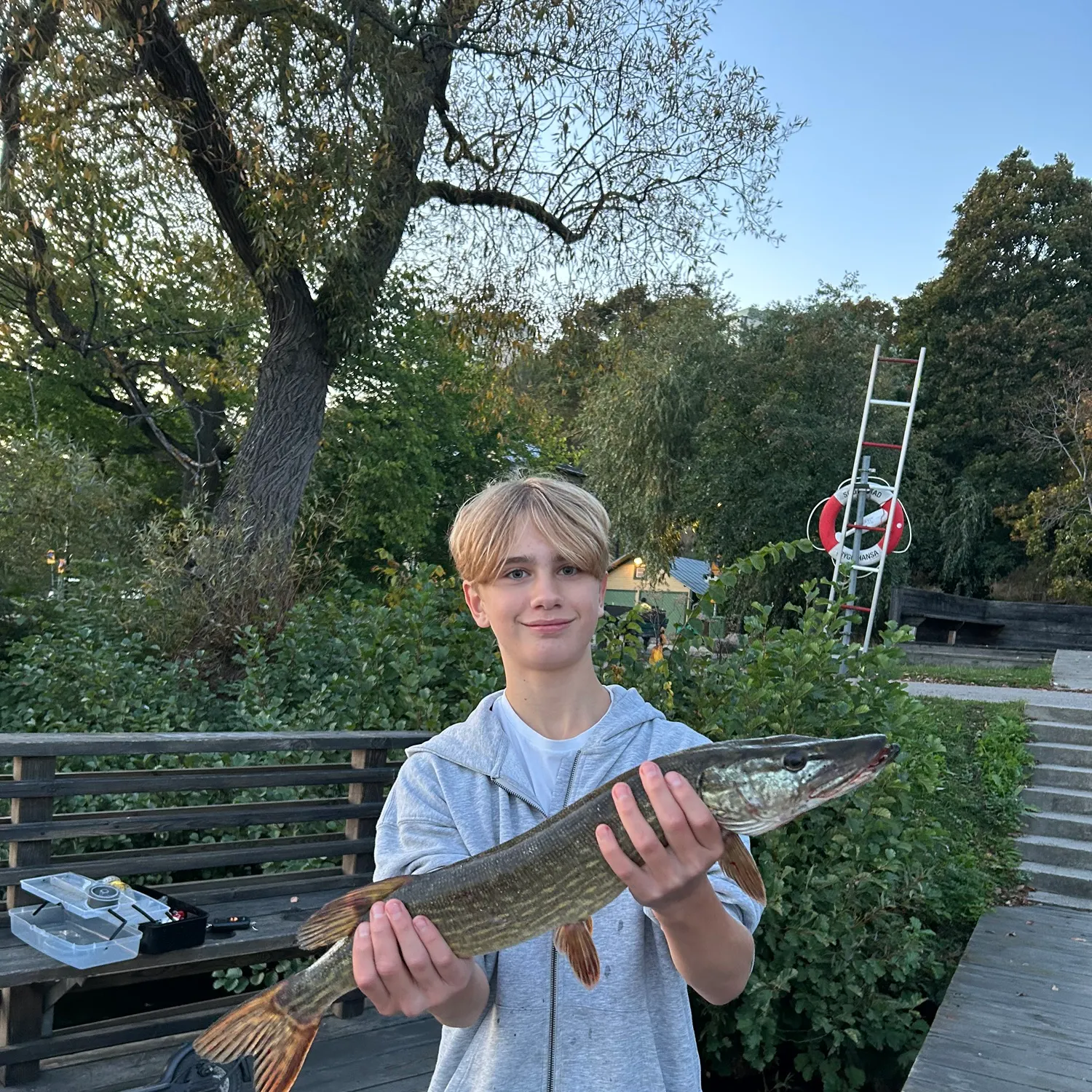 Northern pike caught on Fishbrain