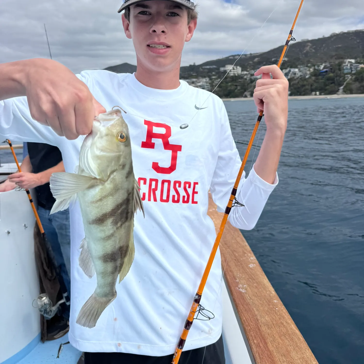 Barred sand bass caught on Fishbrain