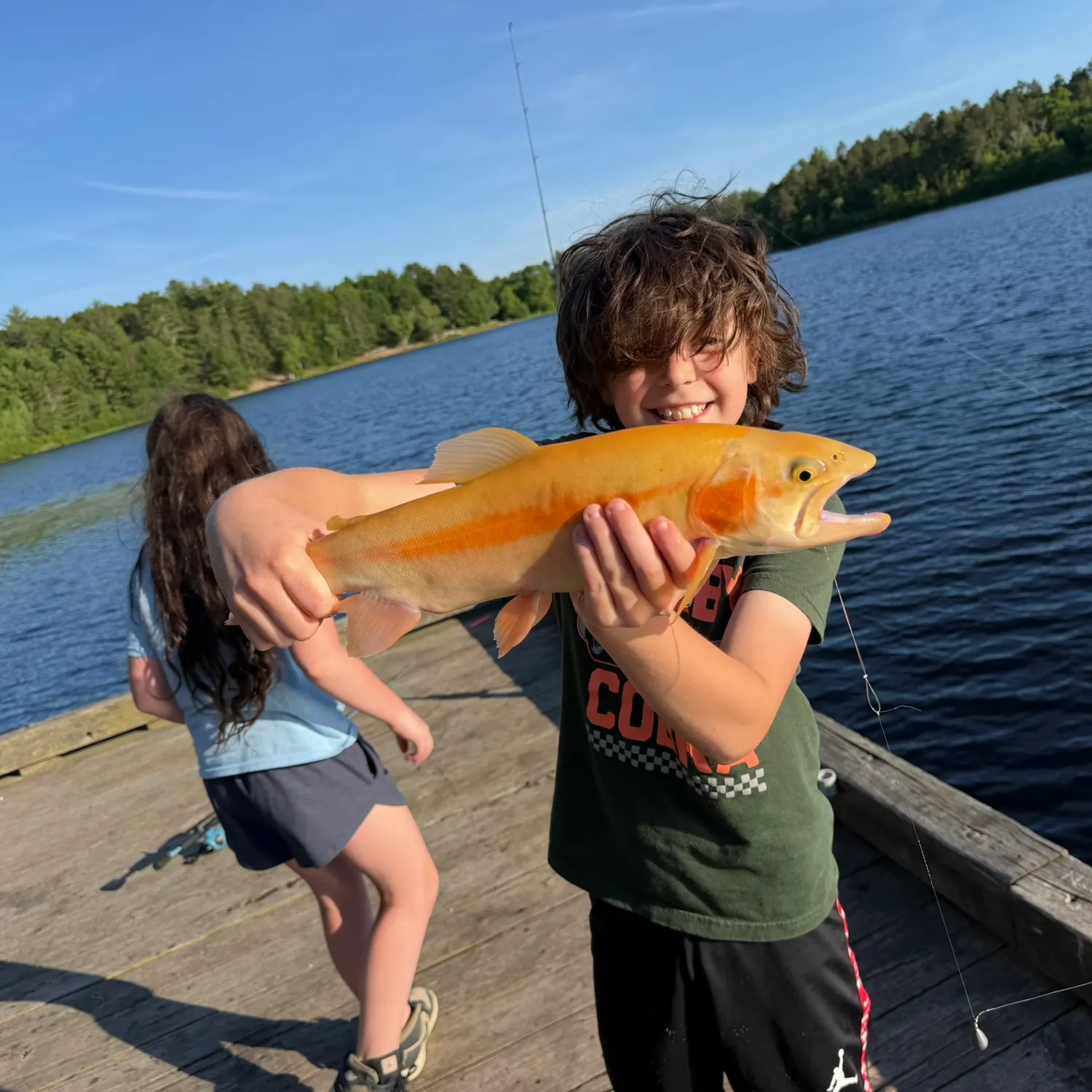 The most recent Golden rainbow trout catches on Fishbrain
