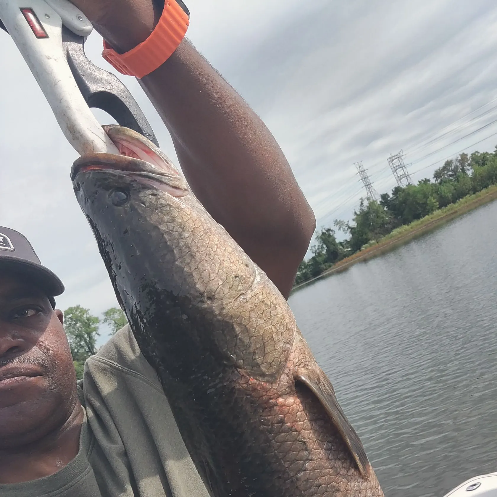 Northern snakehead caught on Fishbrain