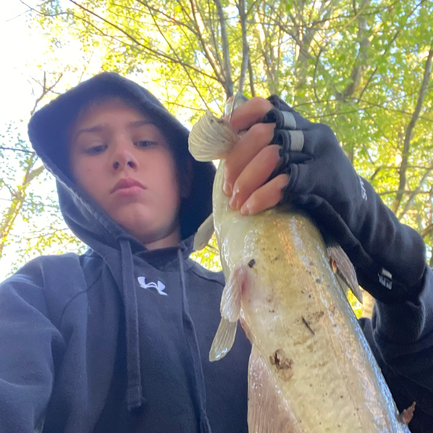 Channel catfish caught on Fishbrain