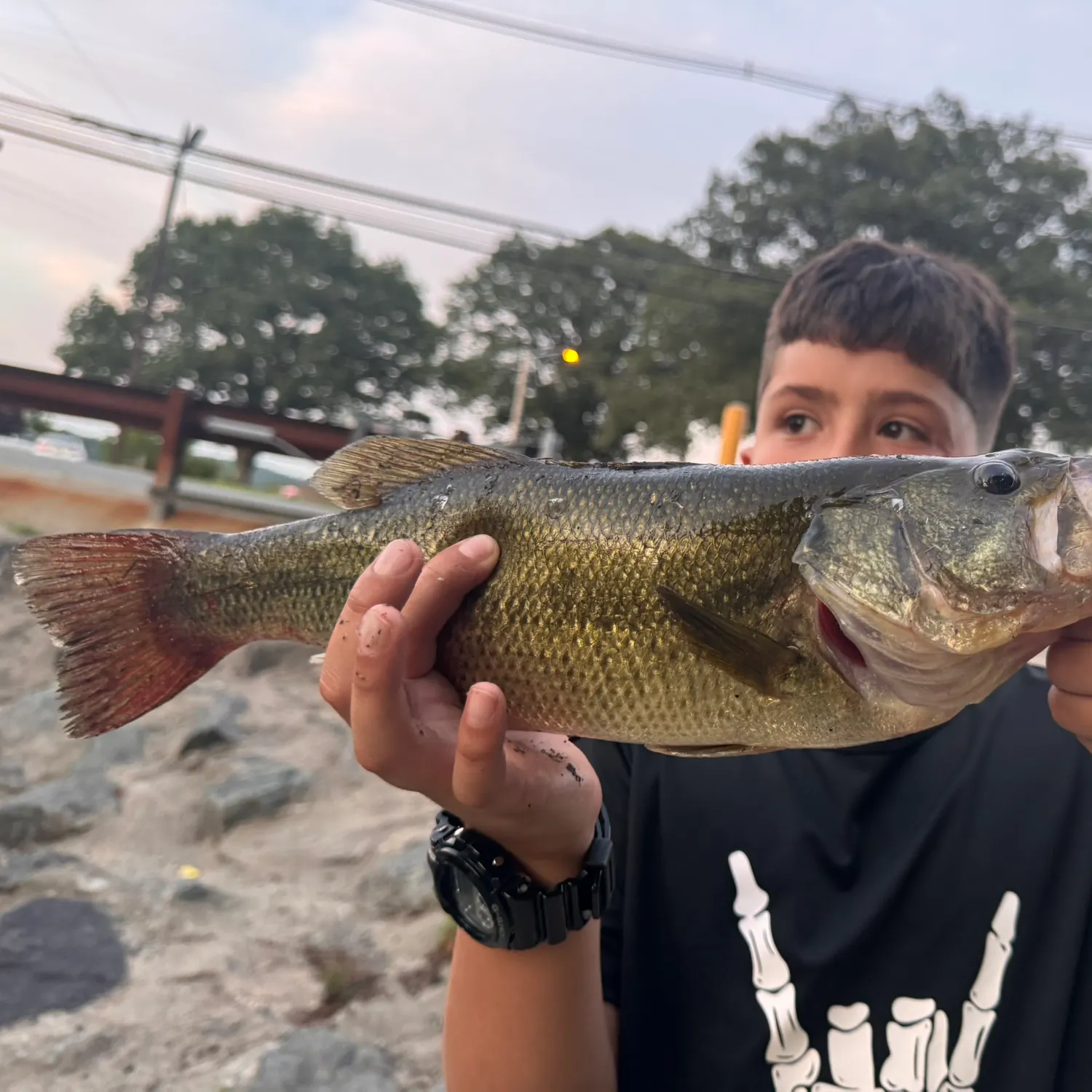 catch