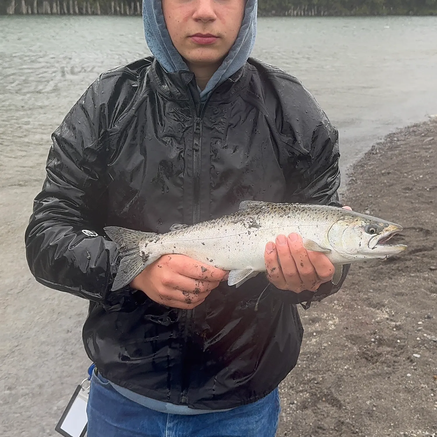 Chinook salmon caught on Fishbrain