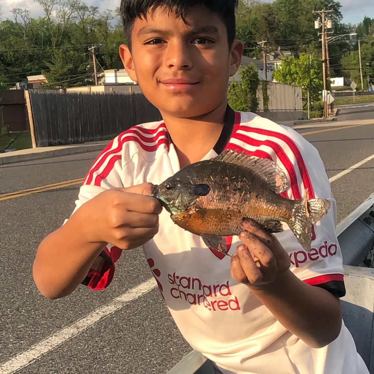 recently logged catches