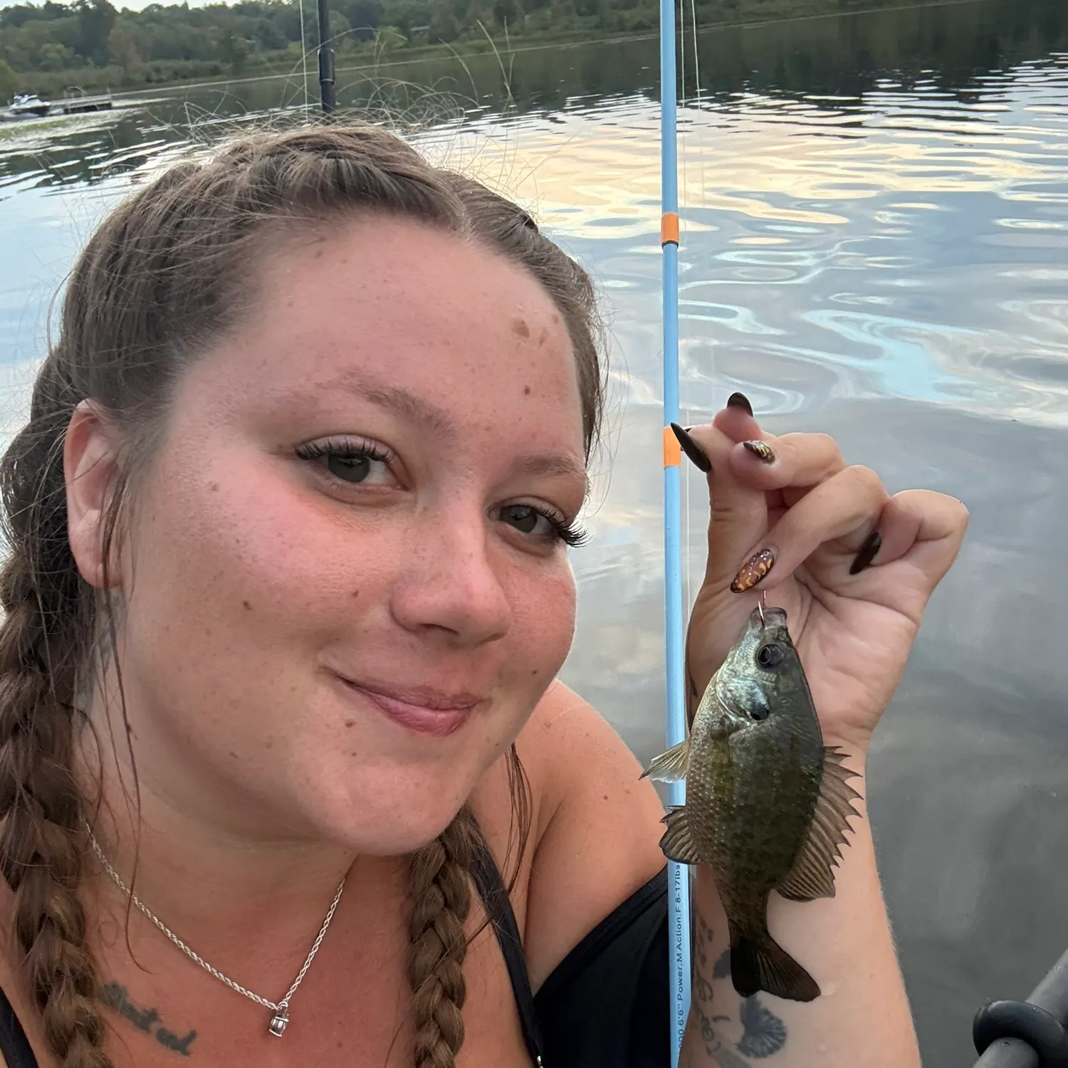Bluegill caught on Fishbrain