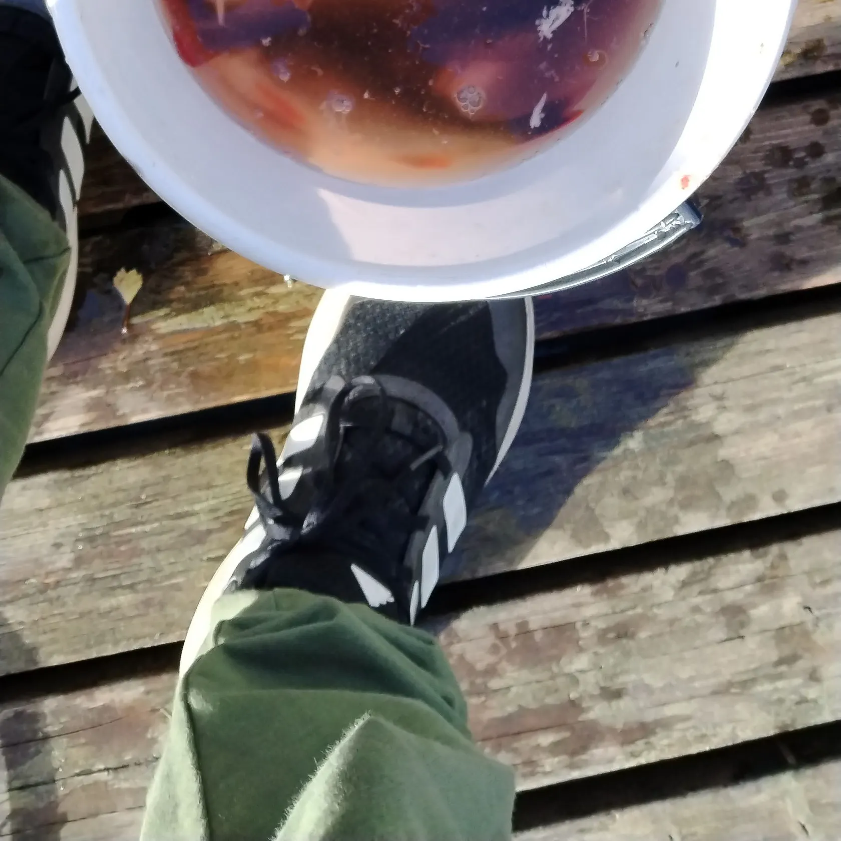 European perch caught on Fishbrain